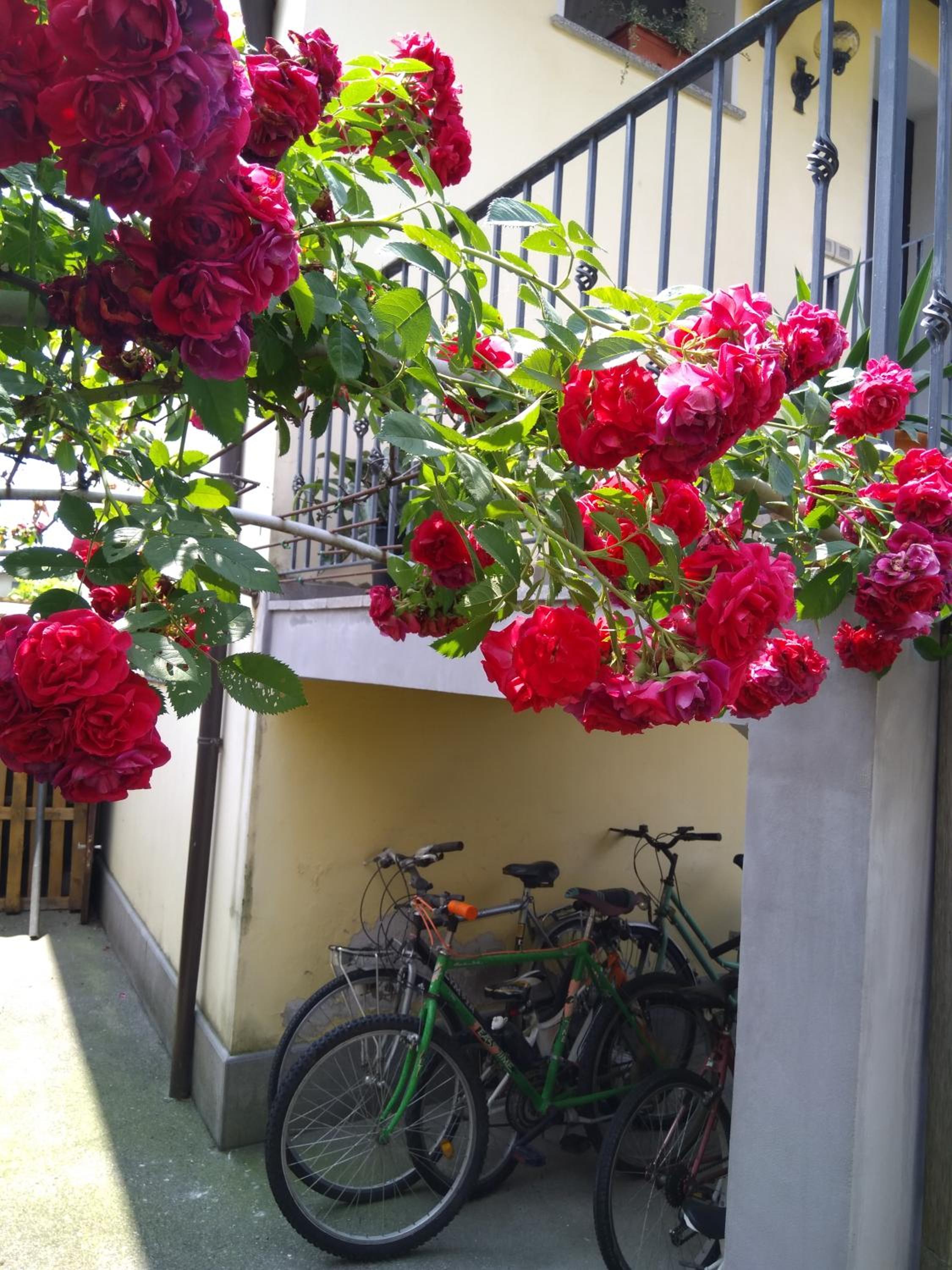 B&B NONO TILIO photo 5