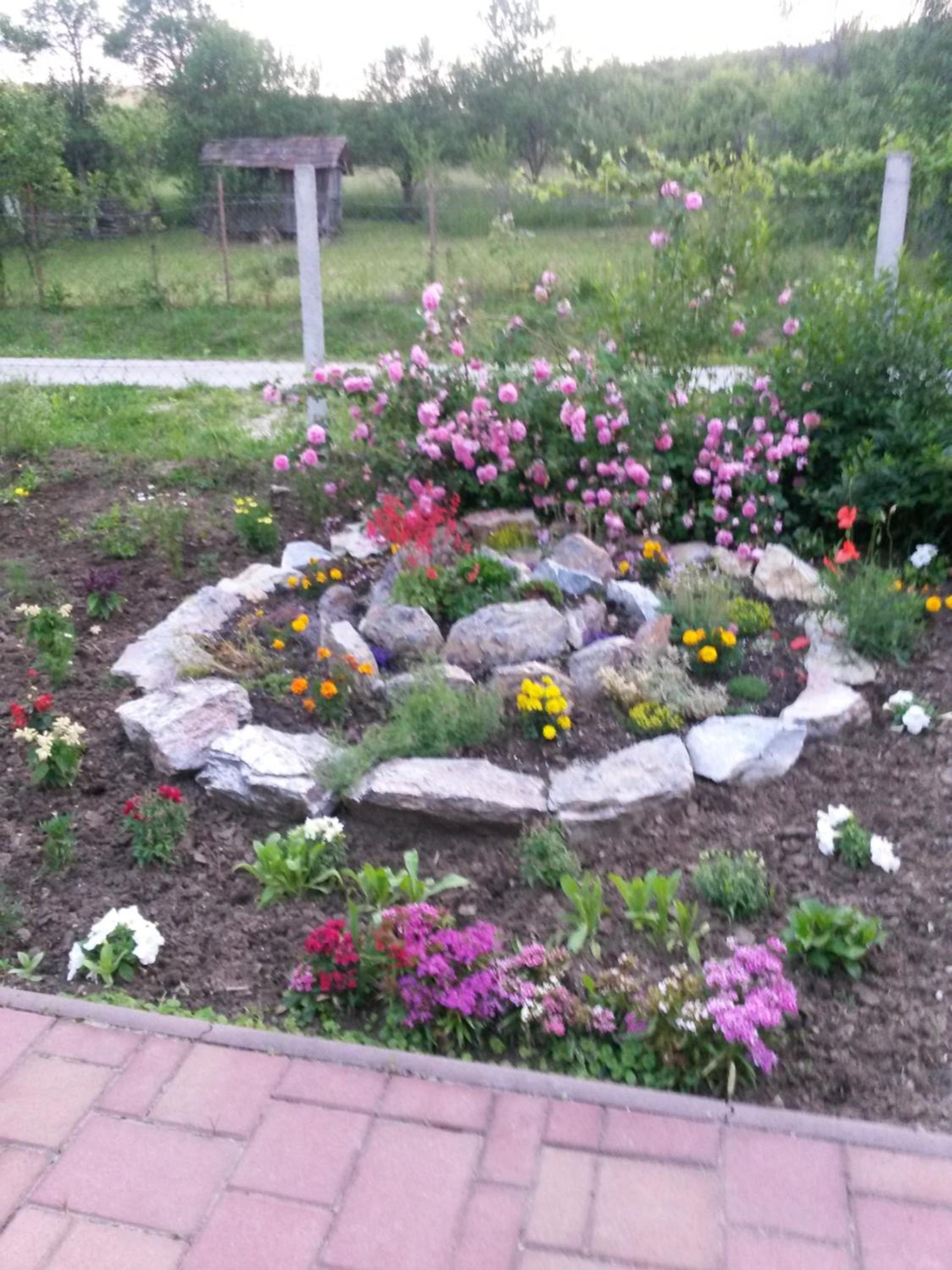 Photo 11