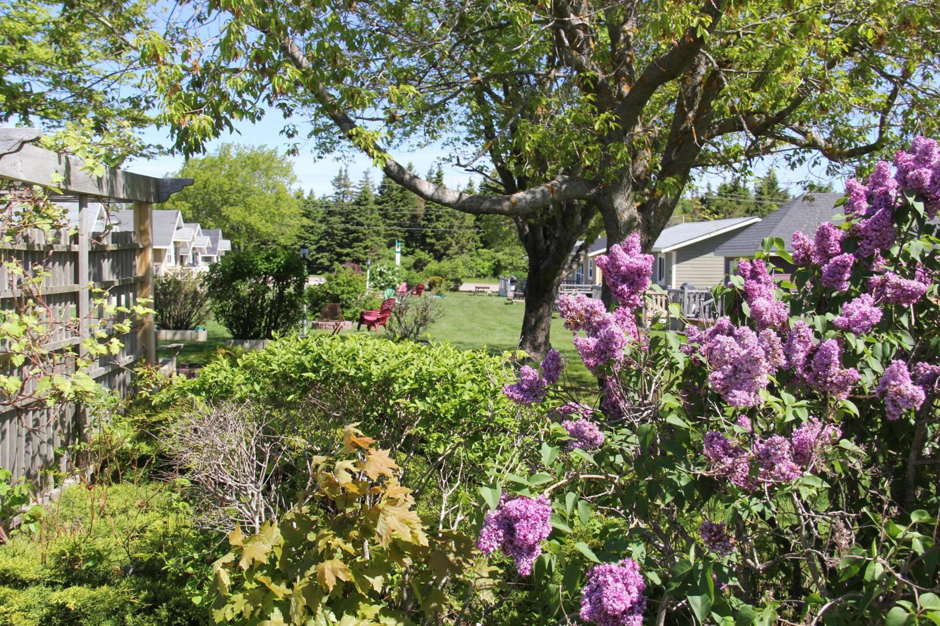 Avonlea Cottages