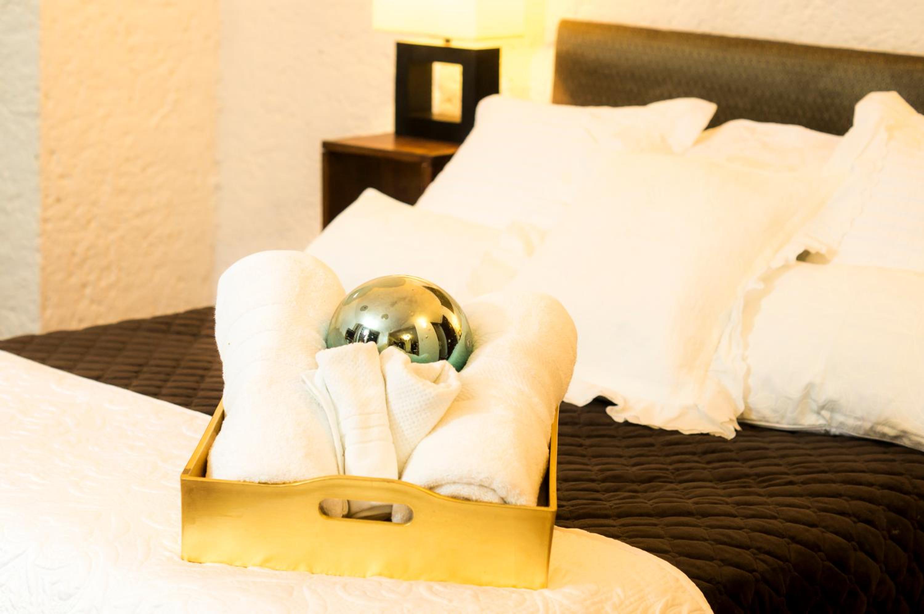 Suite 2B, Vista, Garden House, Welcome to San Angel photo 3