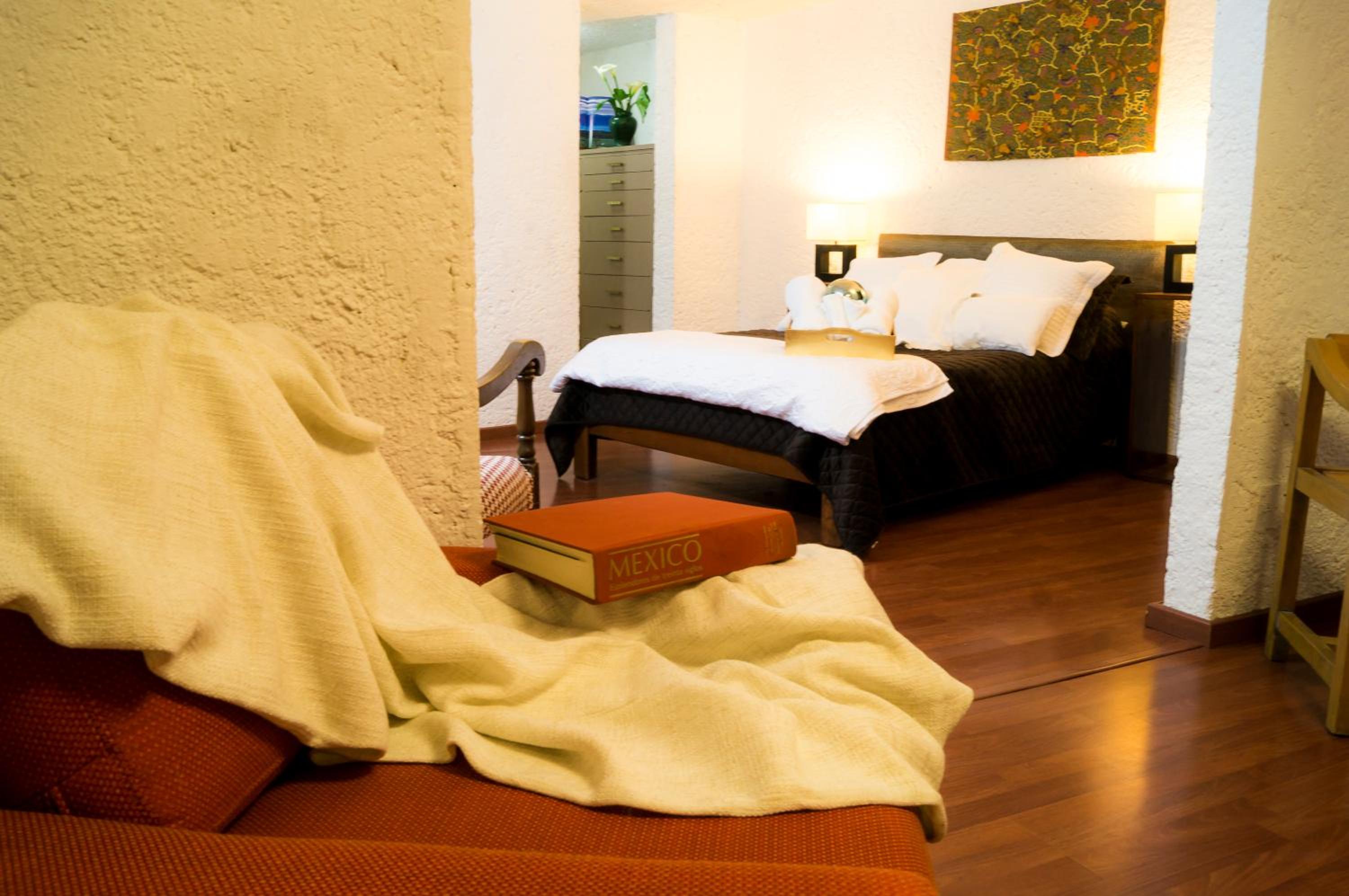 Suite 2B, Vista, Garden House, Welcome to San Angel photo 4