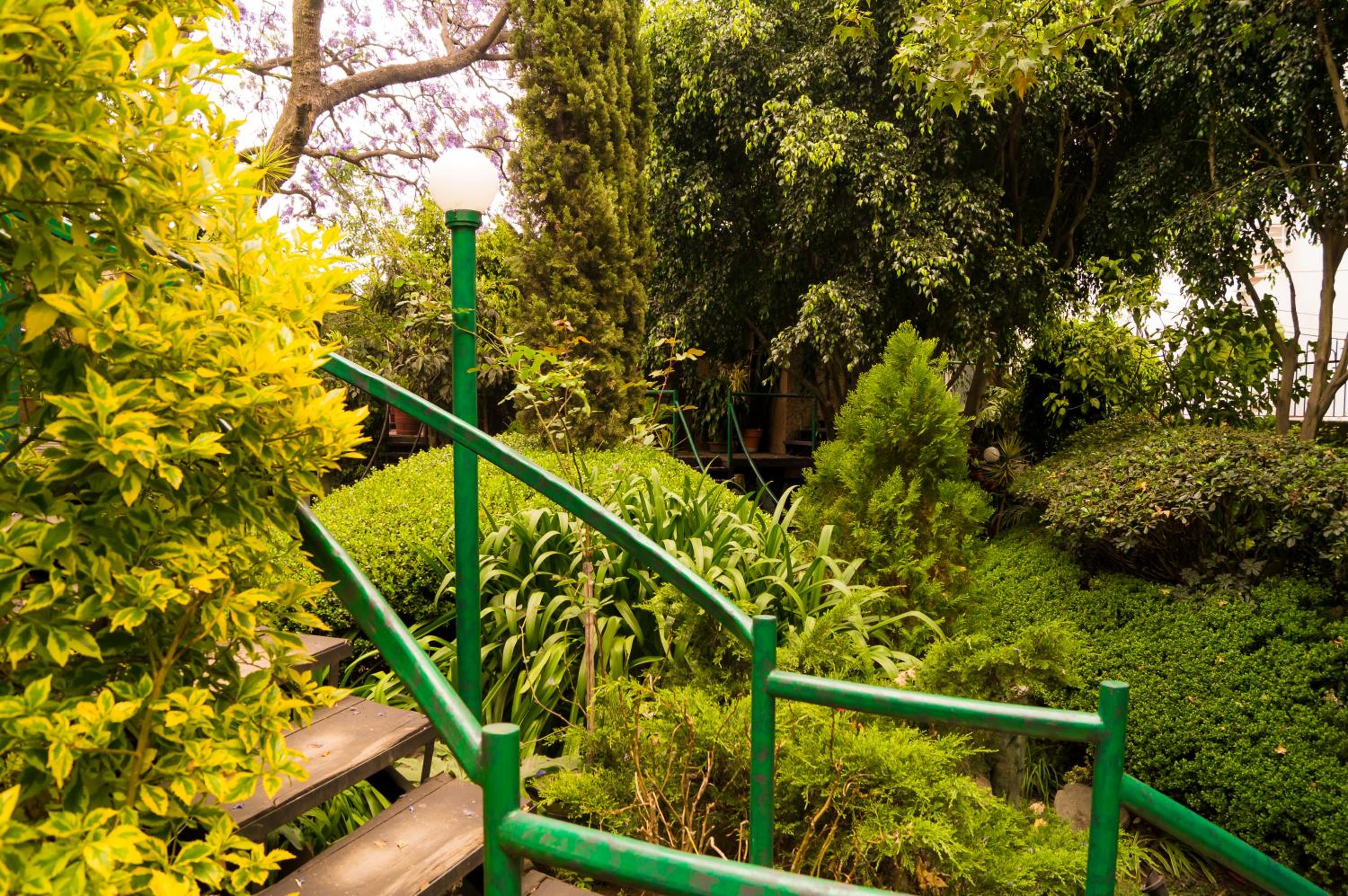 Suite 2B, Vista, Garden House, Welcome to San Angel photo 2