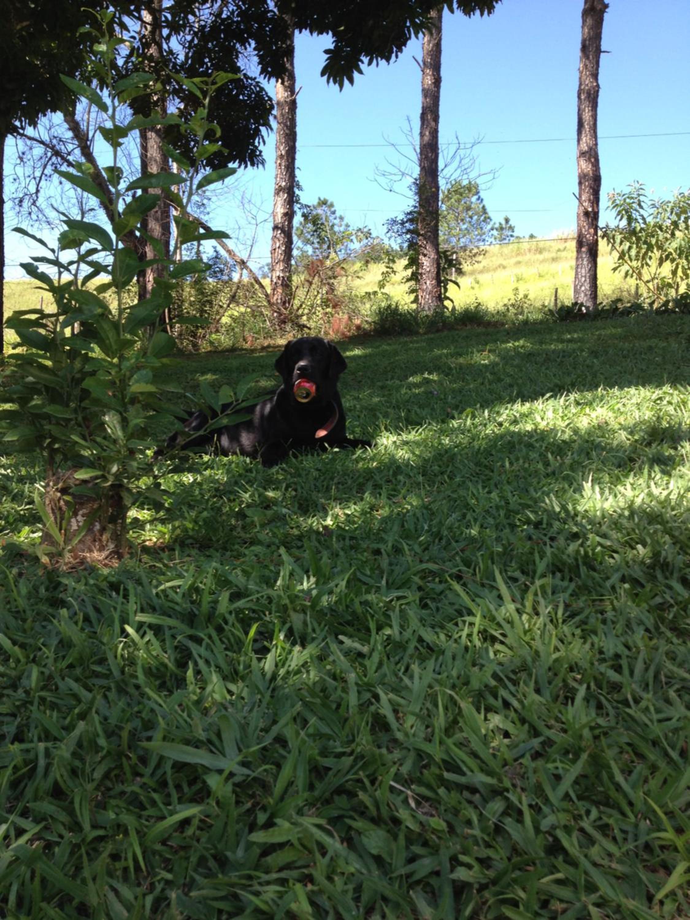 Photo 14