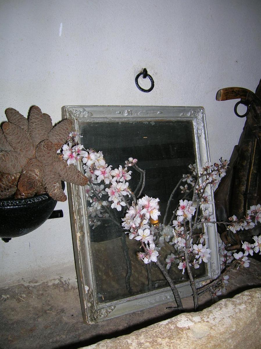Photo 40