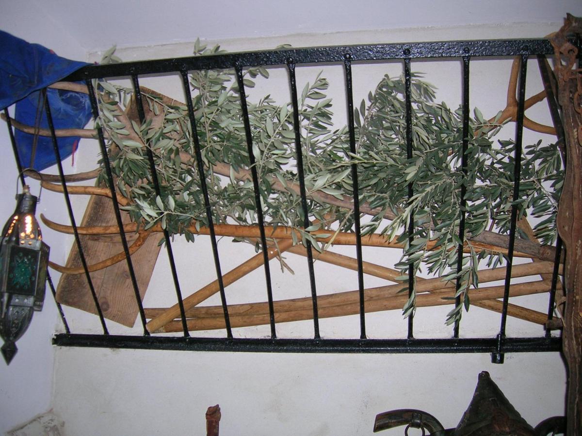 Photo 41