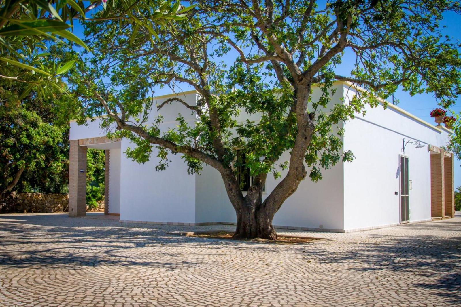 Villa Vanessa Luxury Leuca by EFFEsalento it