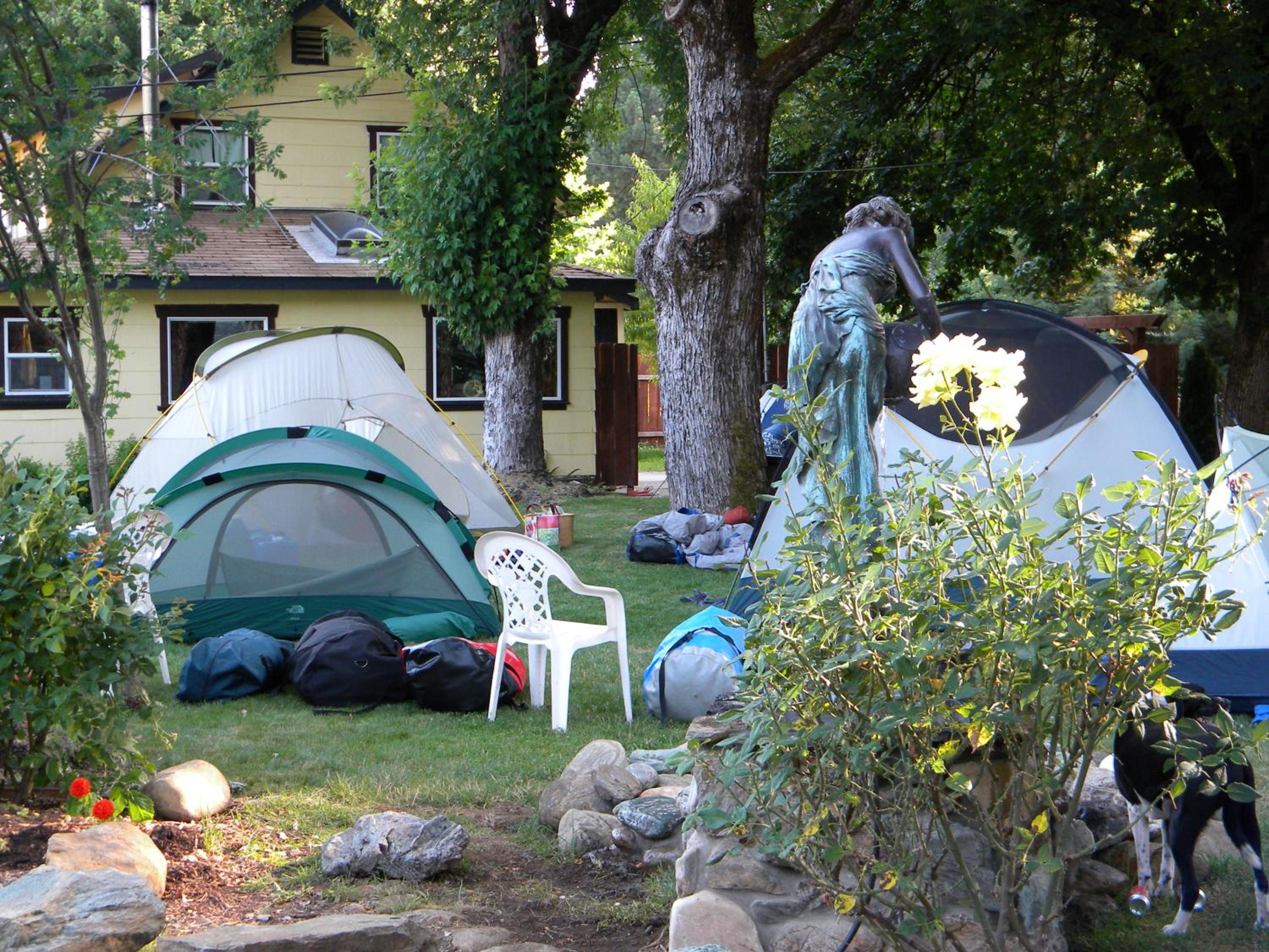 Photo 11
