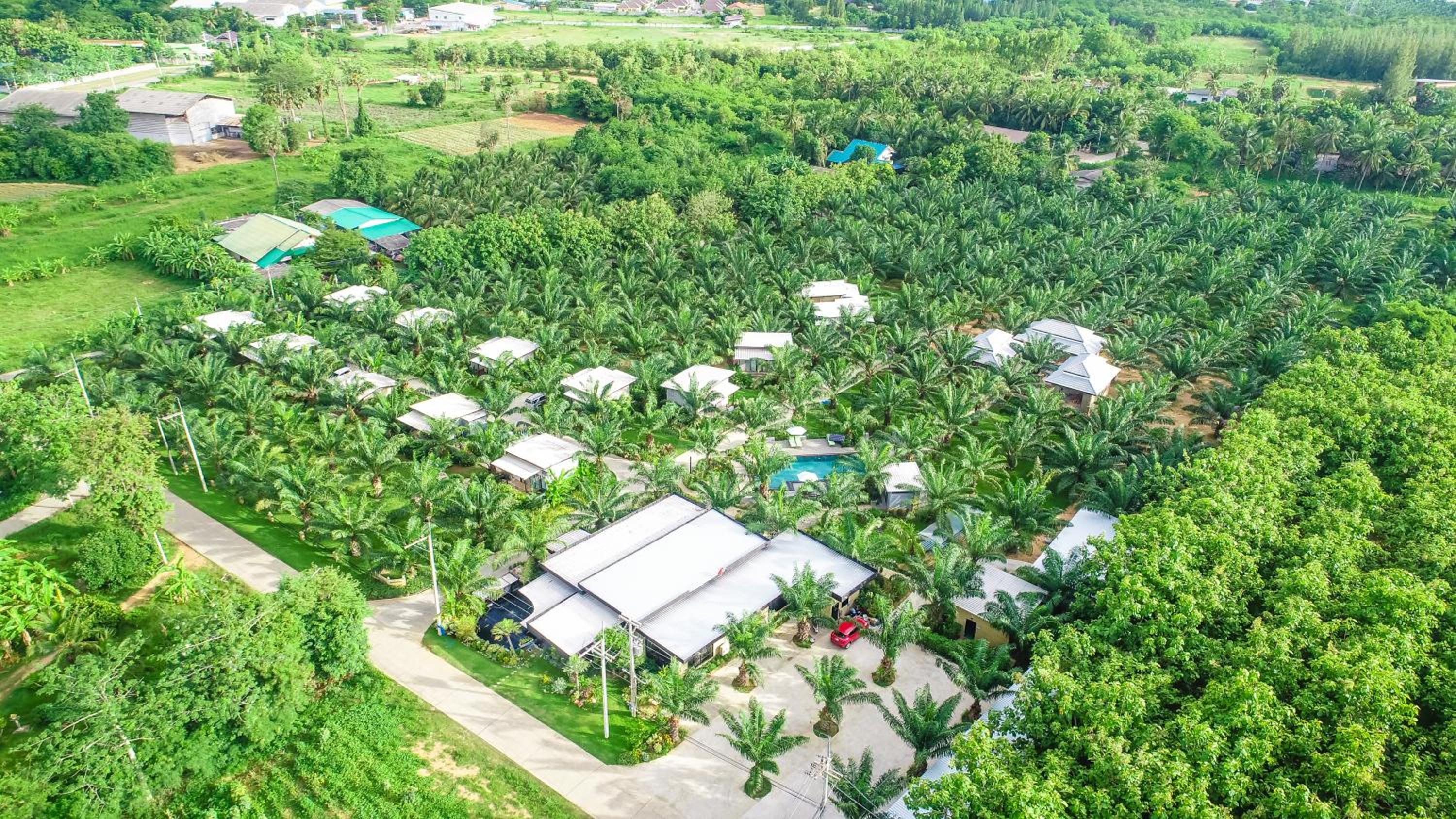 Palm Pran Resort
