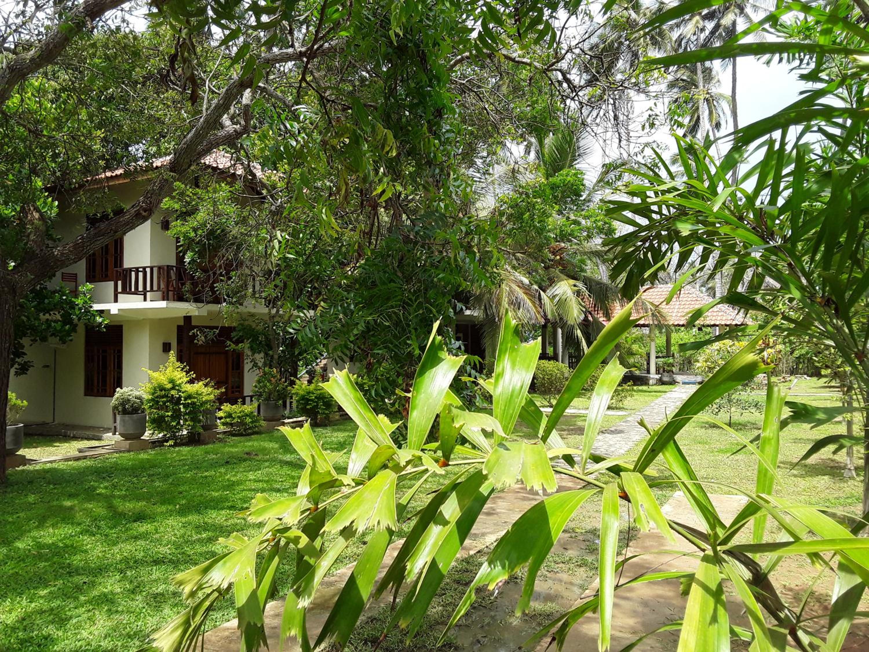 Photo 45