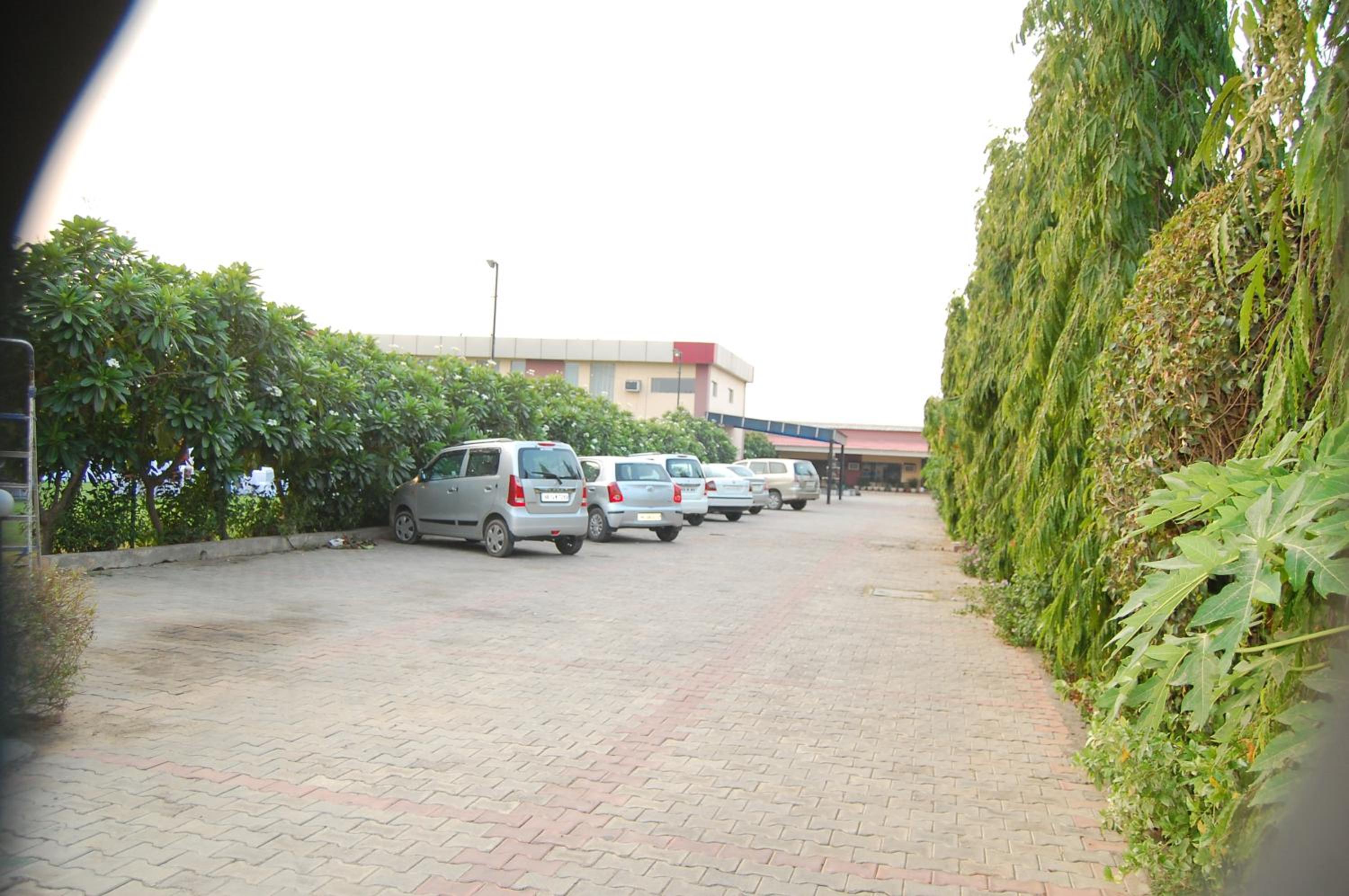 Photo 16
