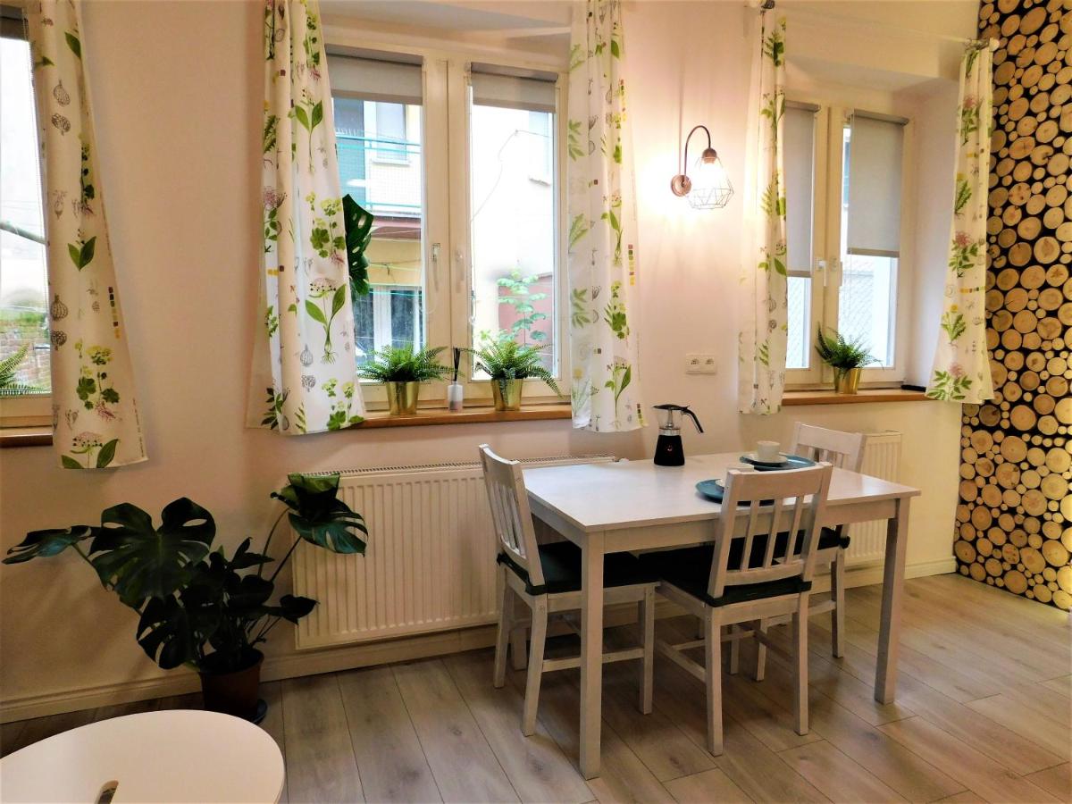 Apartament Egzotyczny view 2