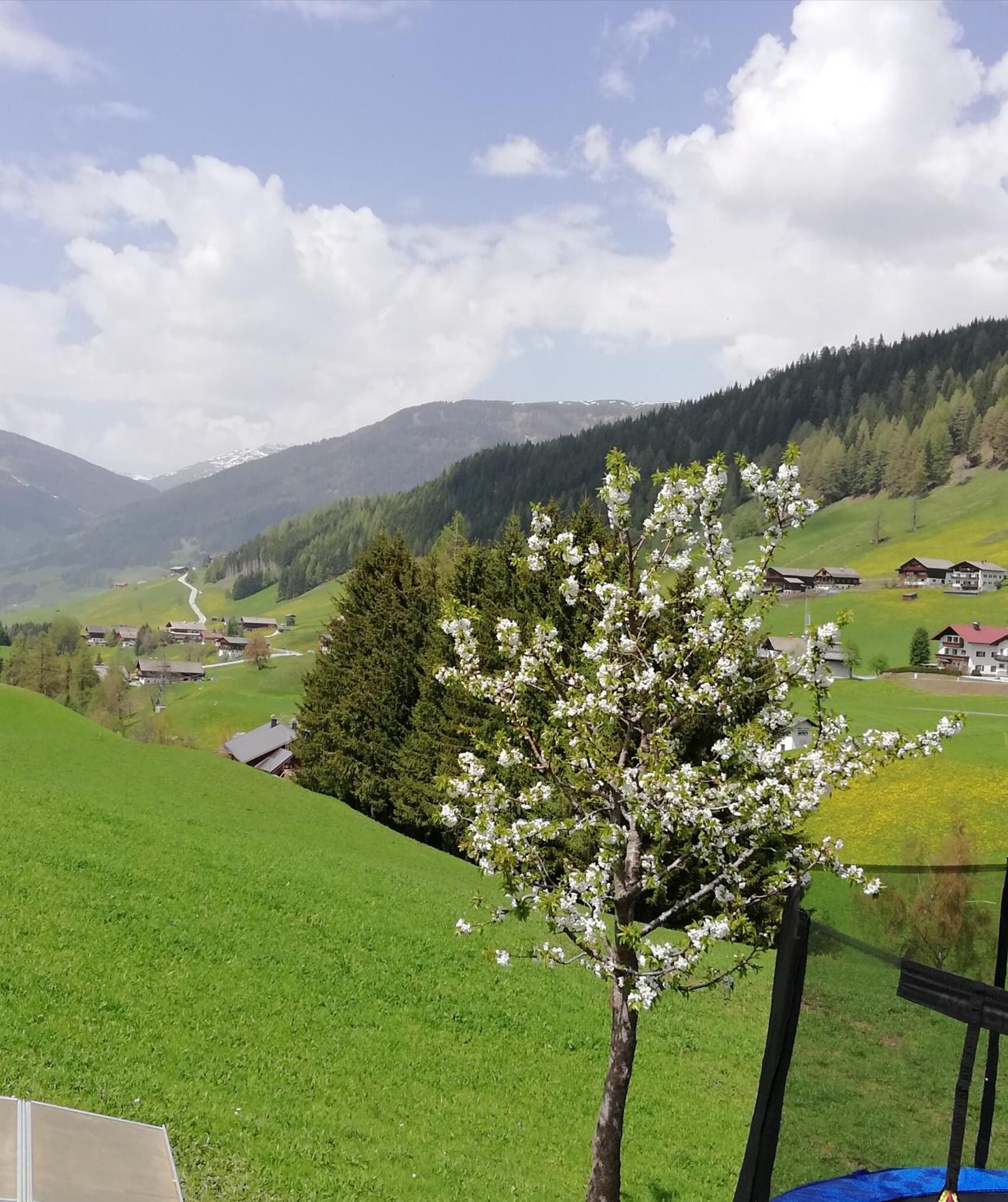 Ferienwohnung Außerlechner