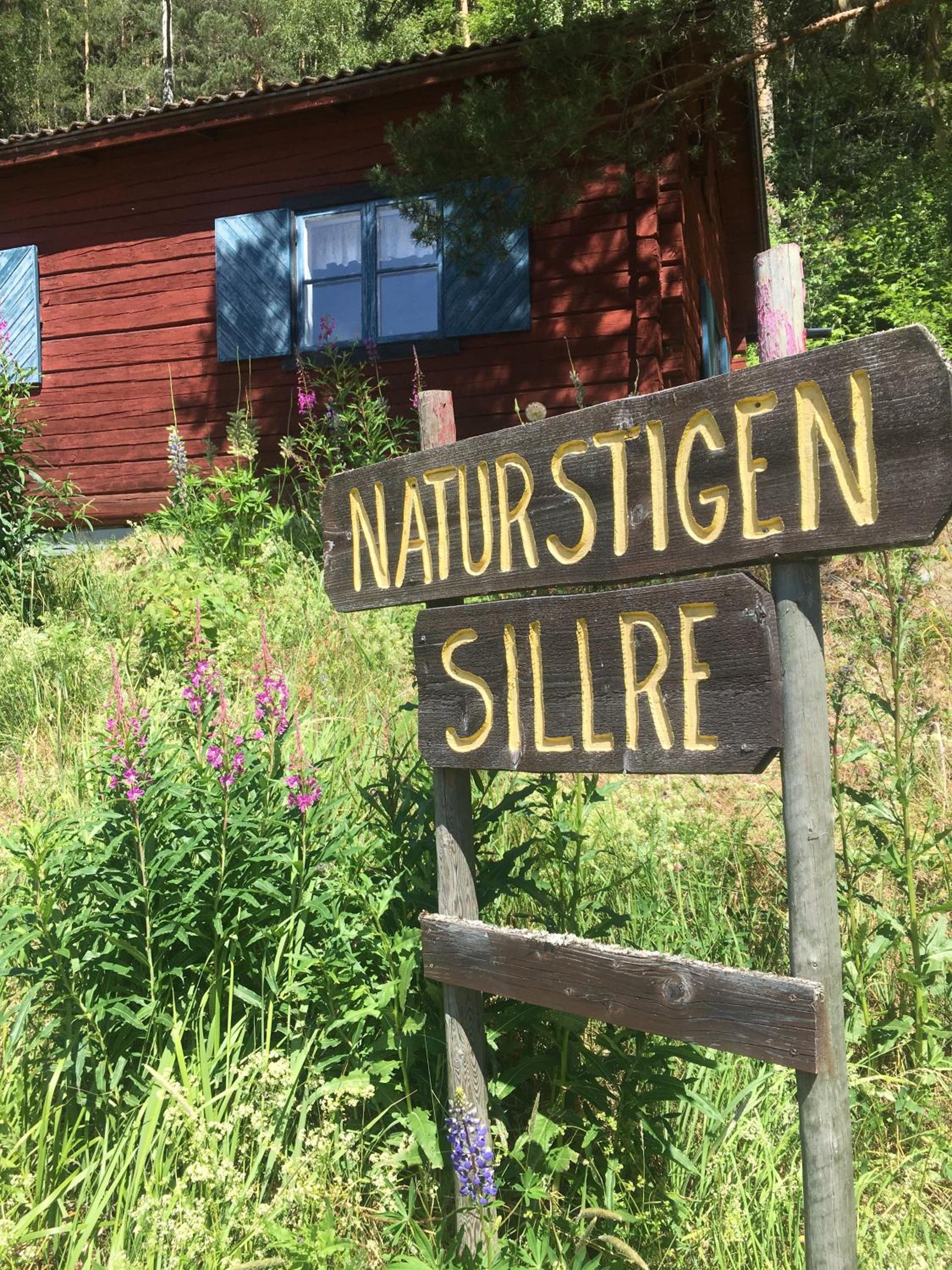 Utsiktens turistgård view 2