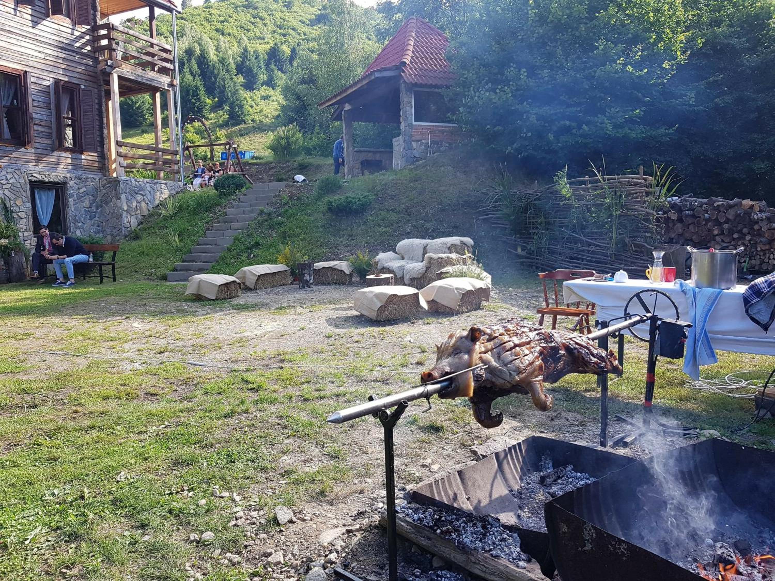 Cabana Soarelui Retezat view 5