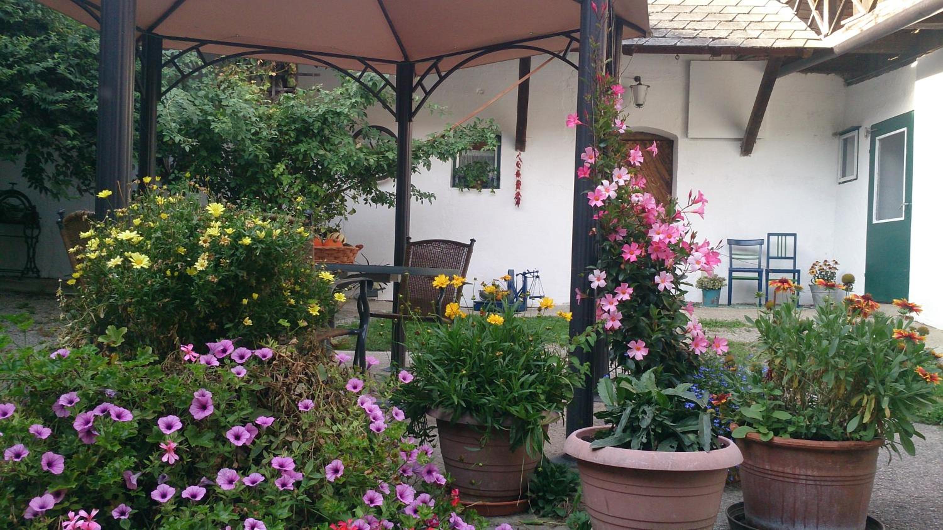 Reiterbauernhof Schönlehenhof