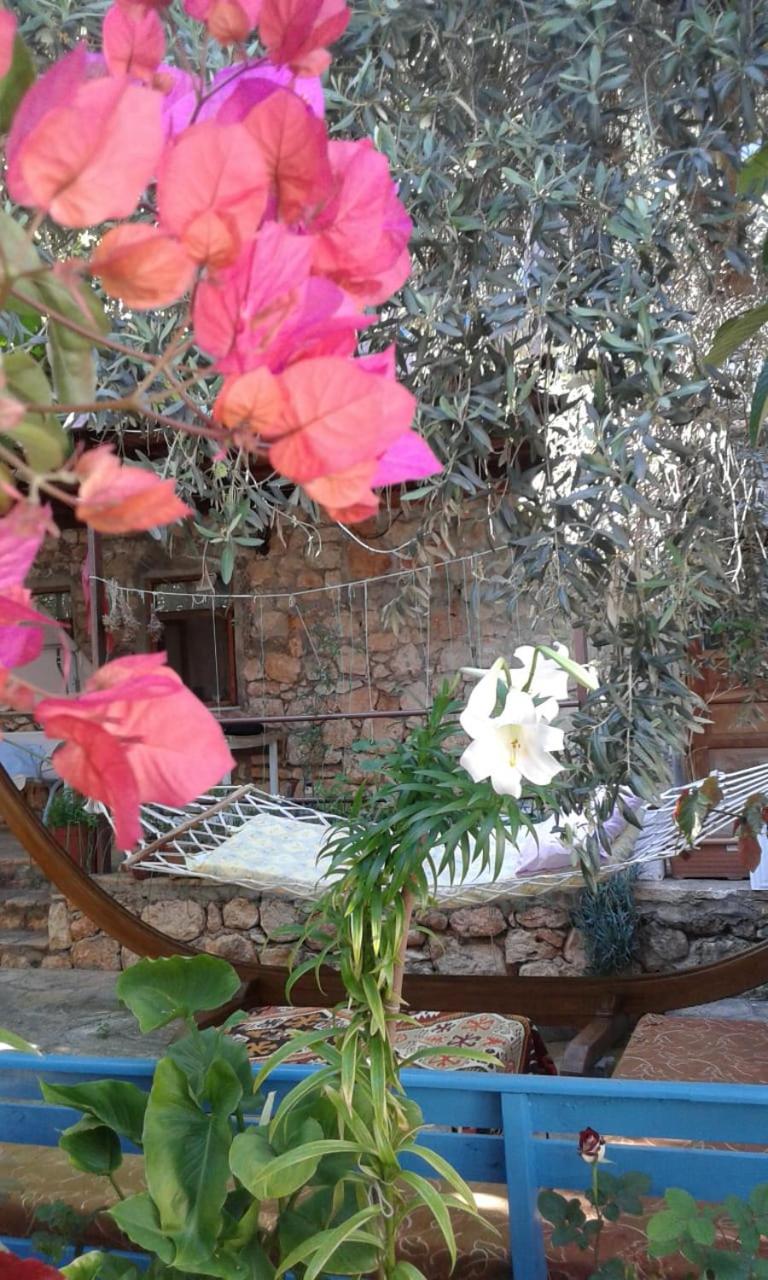 Likya Pansiyon view 2