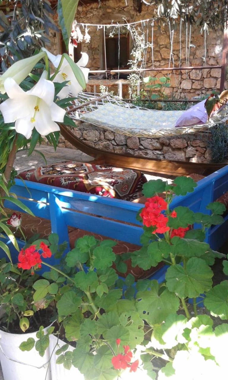 Likya Pansiyon view 4