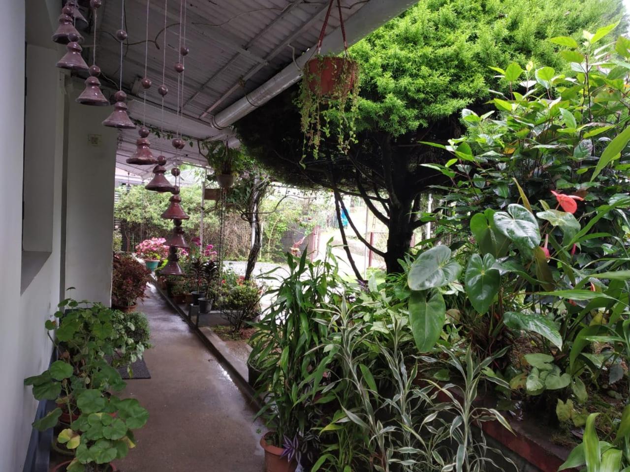 Photo 15