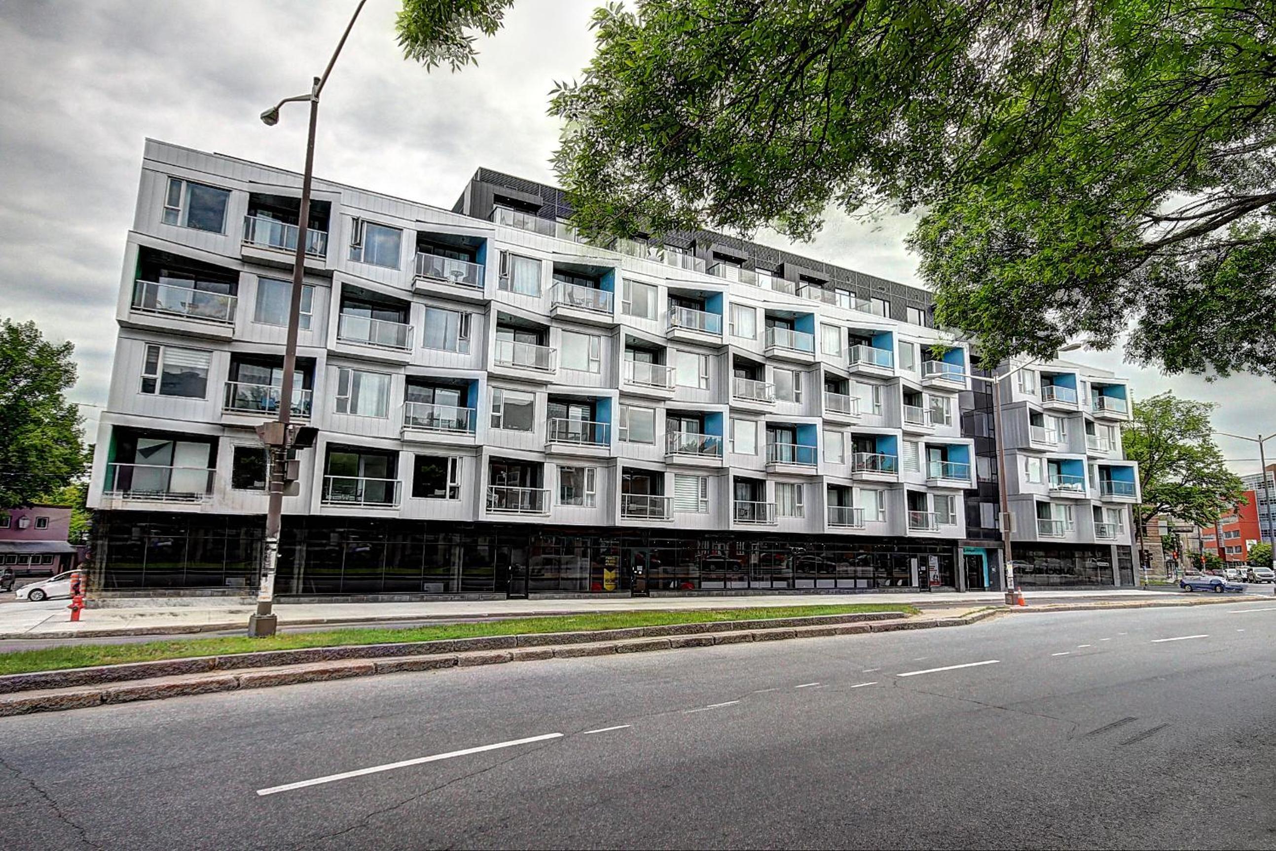 The Modern Cocoon