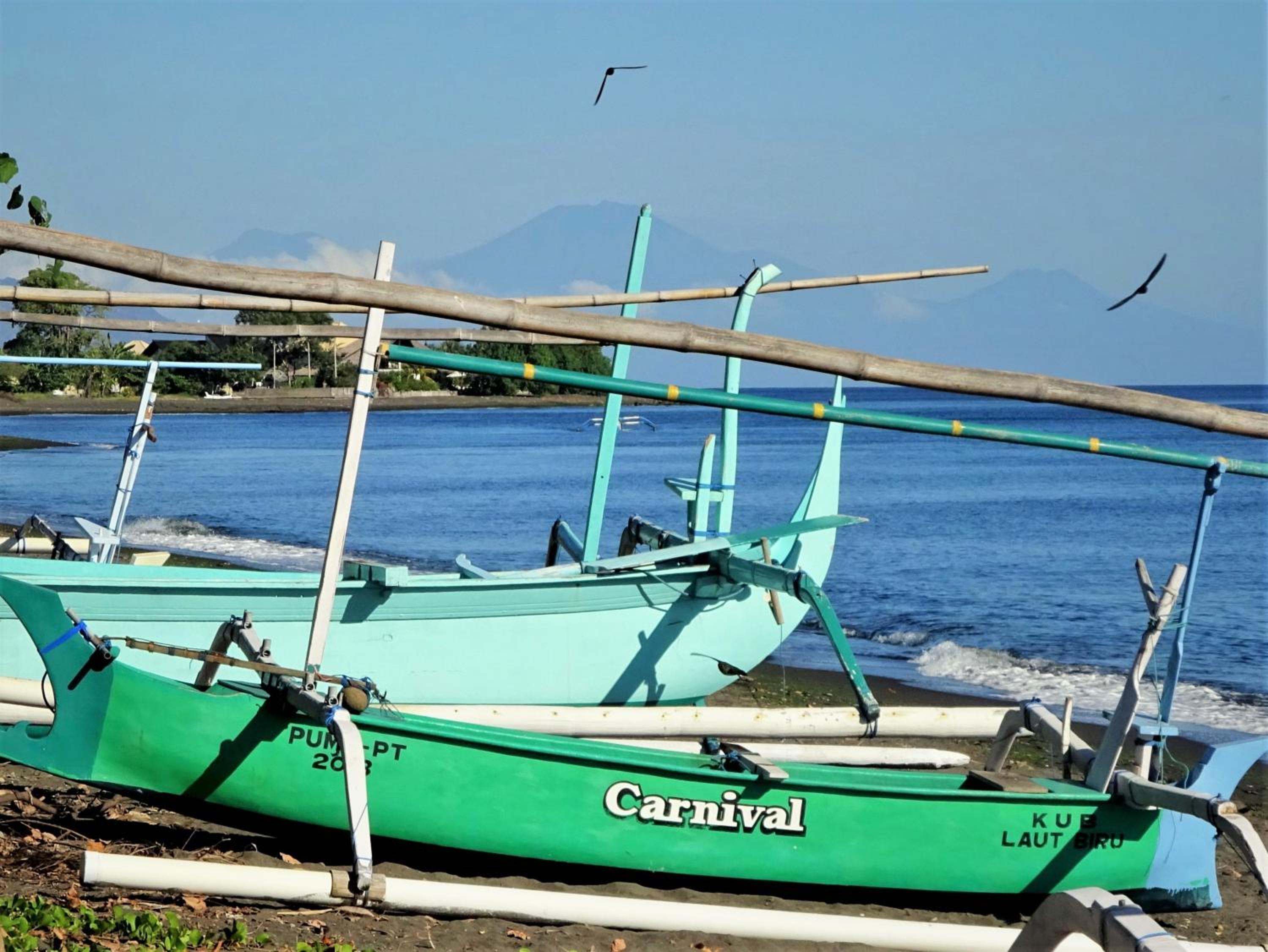 Mayo Resort