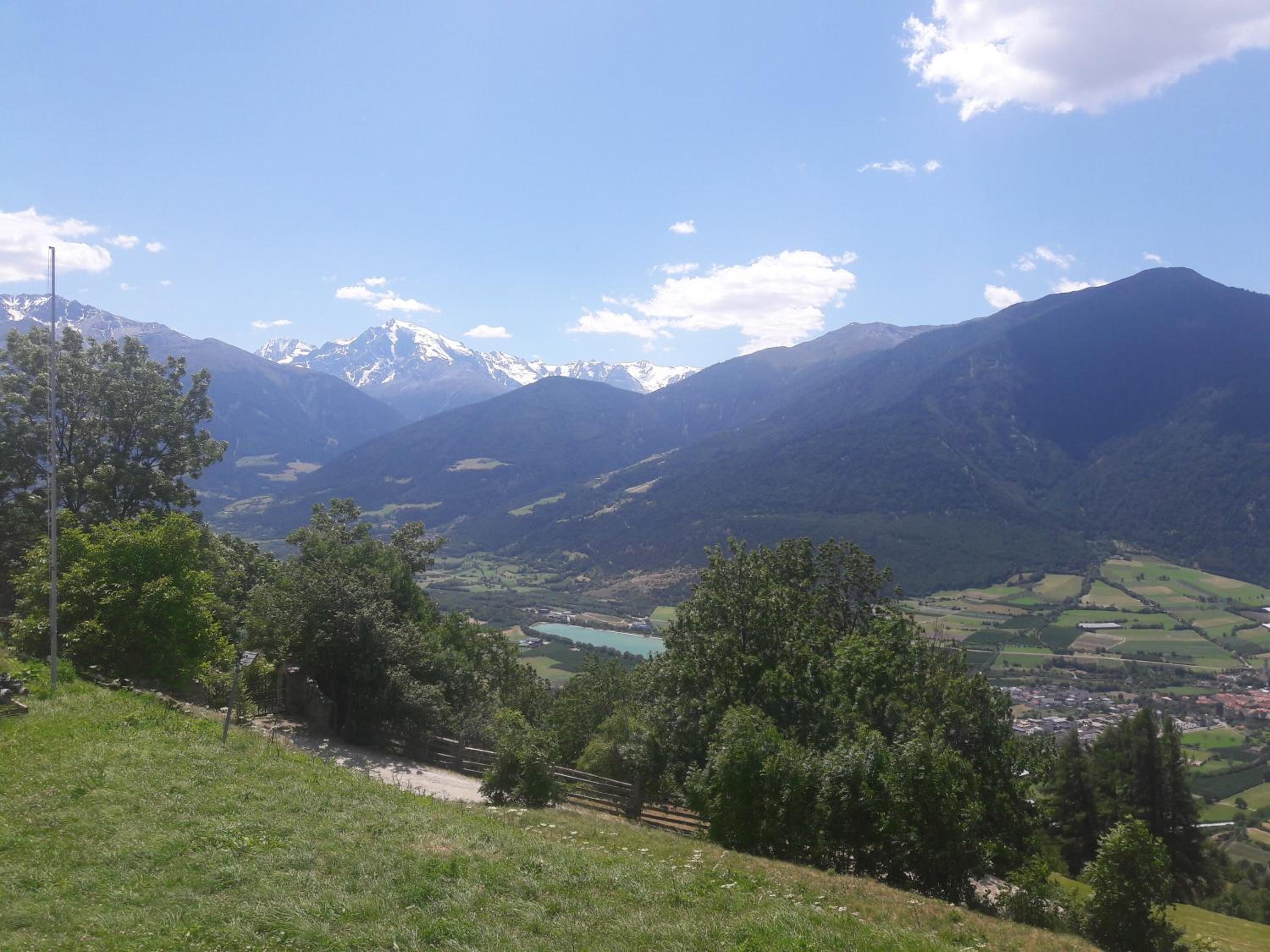 Hofschank Reinalterhof view 4