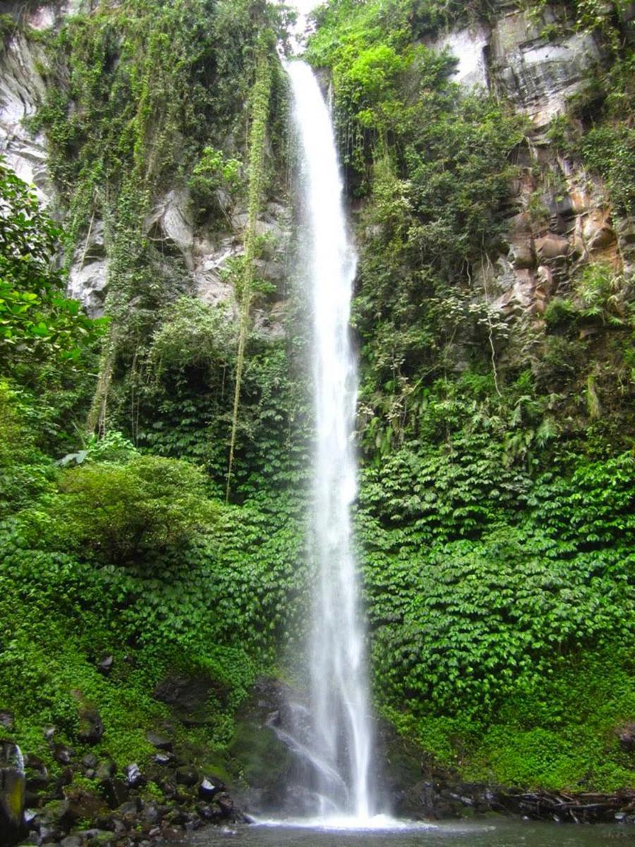 Photo 42