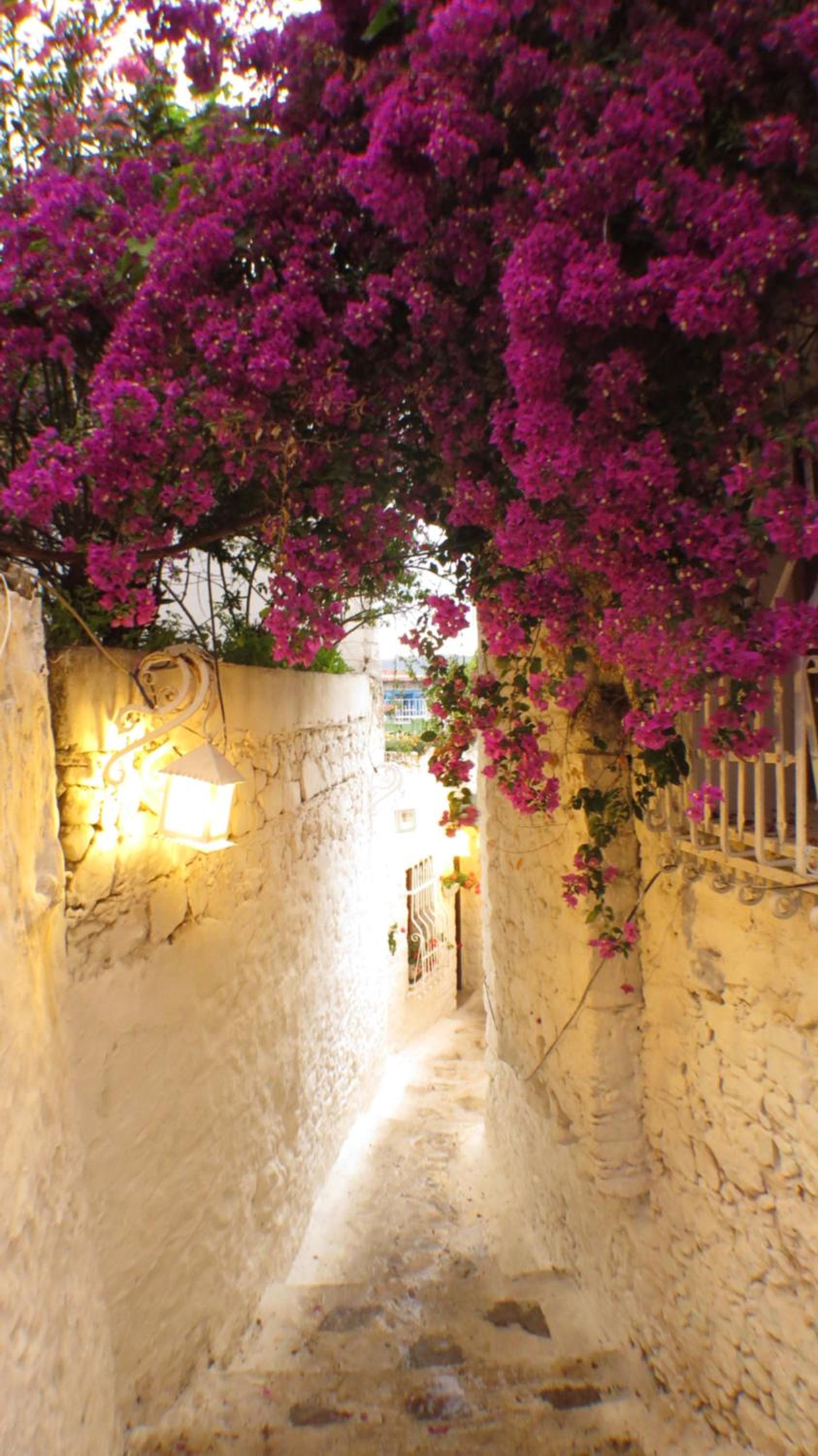 8 oDa Marmaris - Image 23