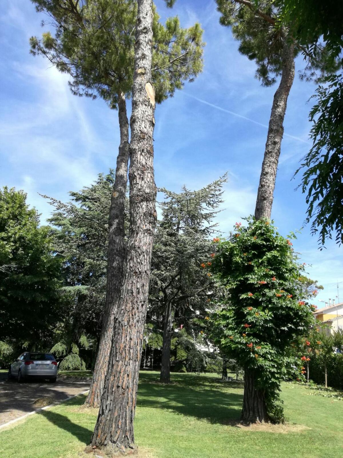 Photo 49