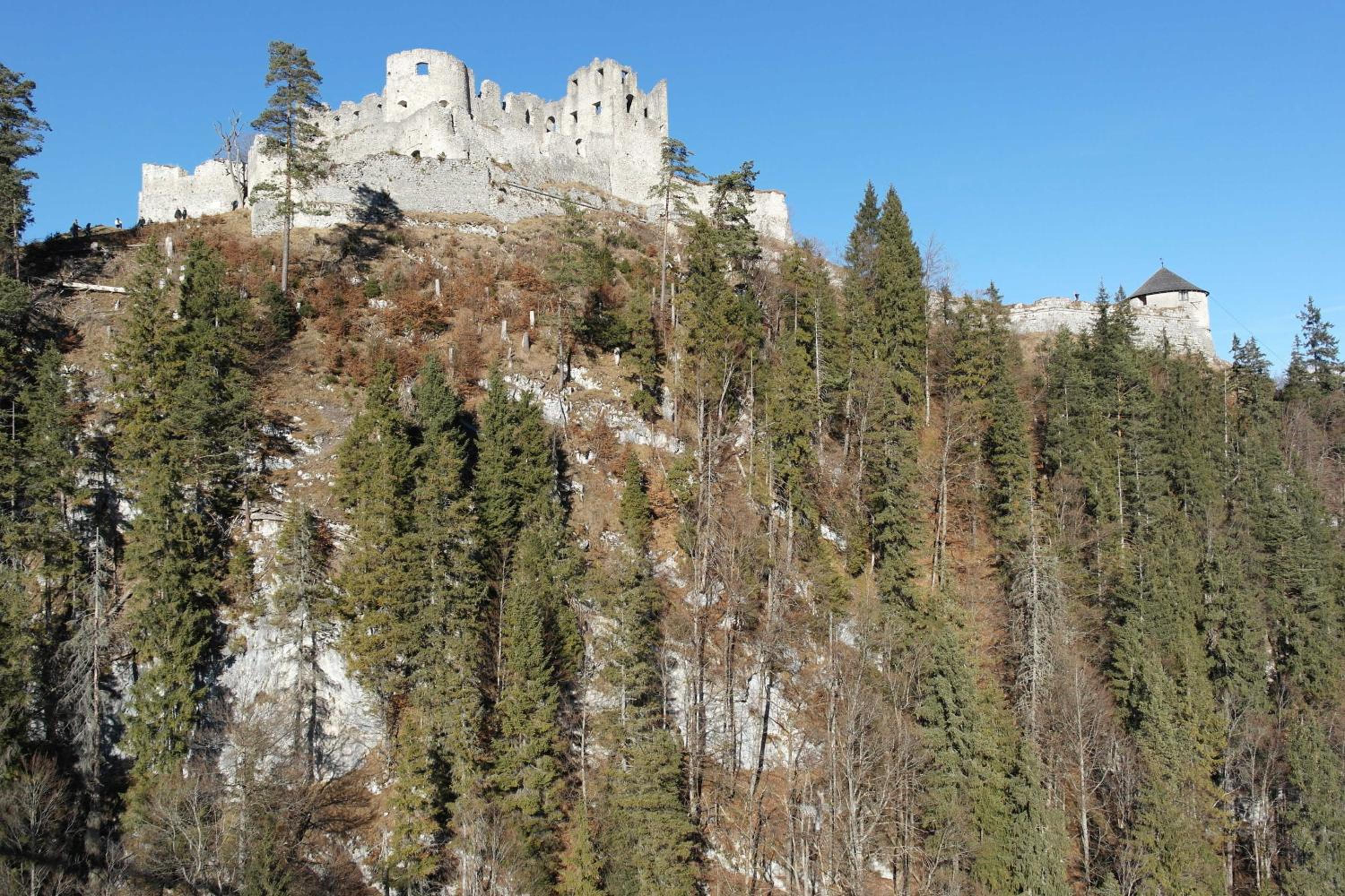 FeWo Ortloff view 3