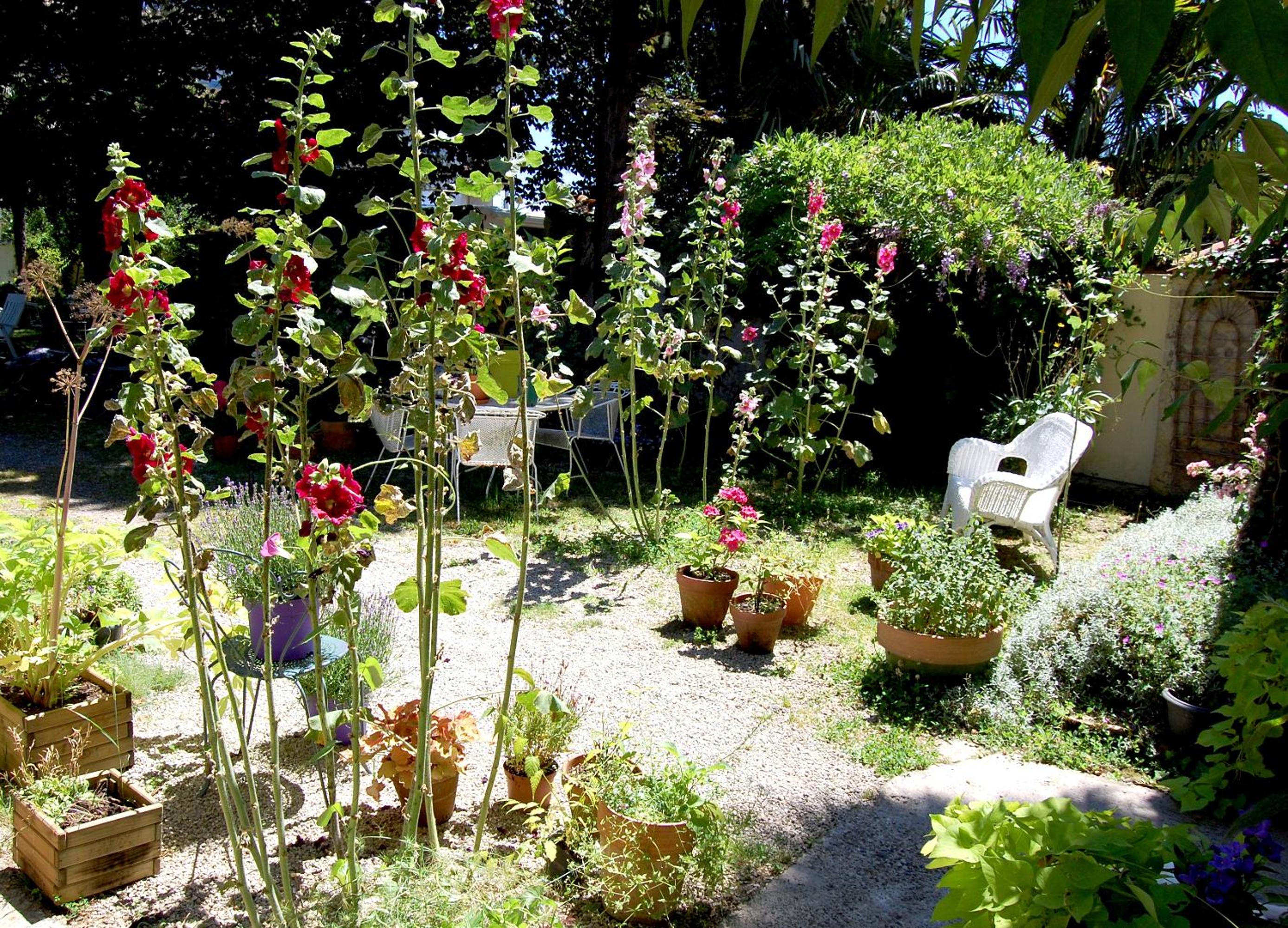 Photo 47