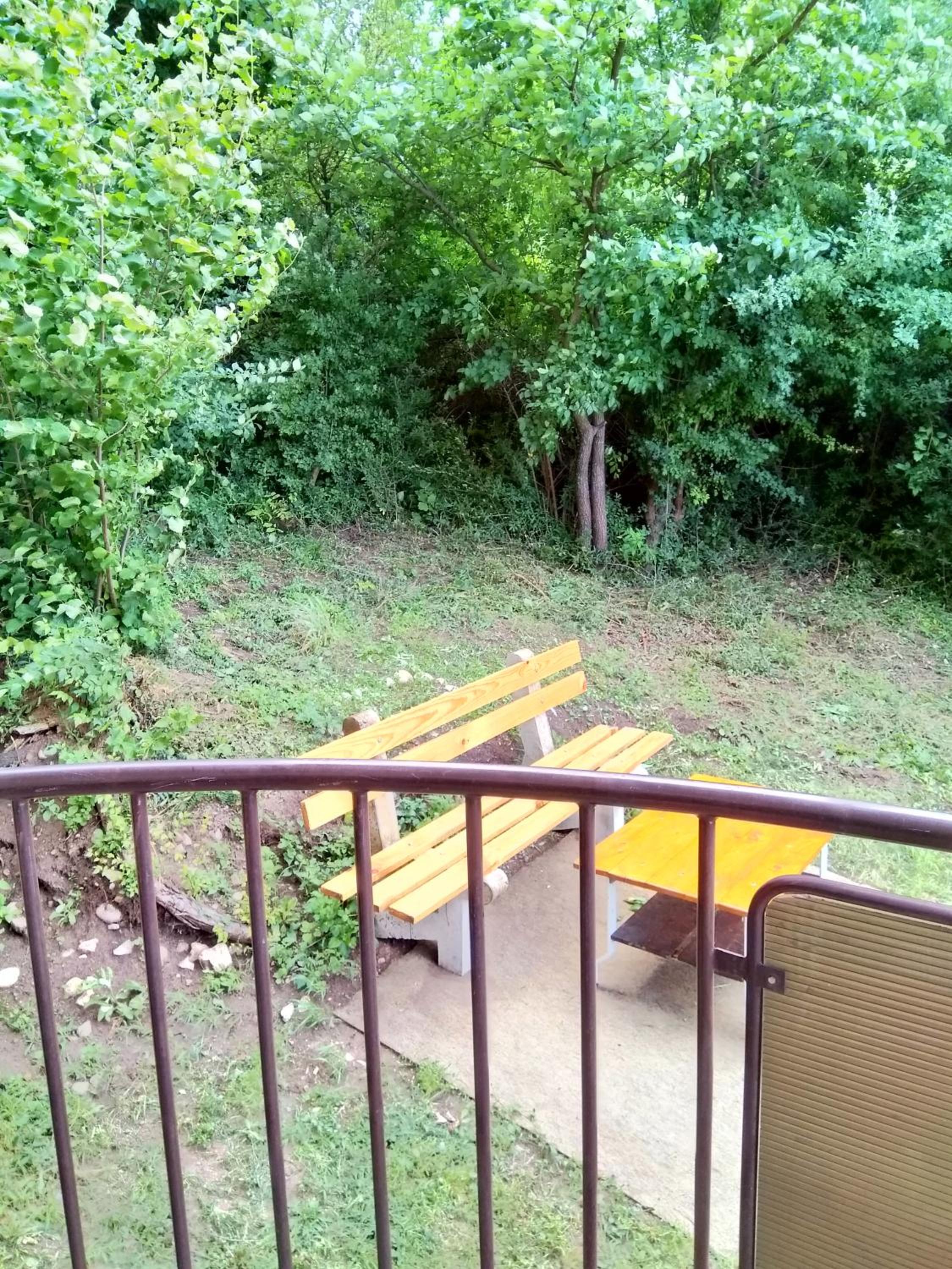 Panorama 5