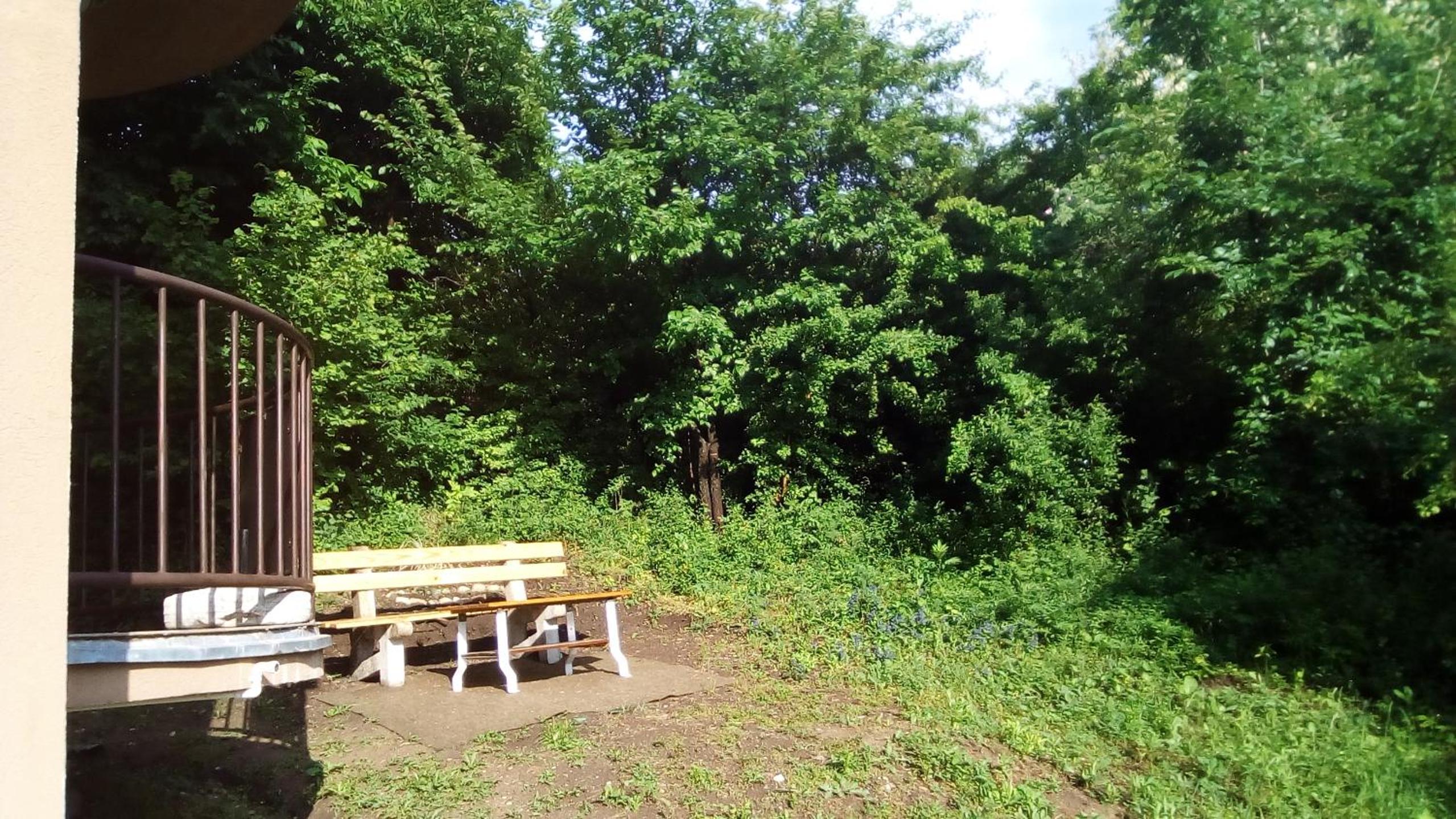 Panorama 5