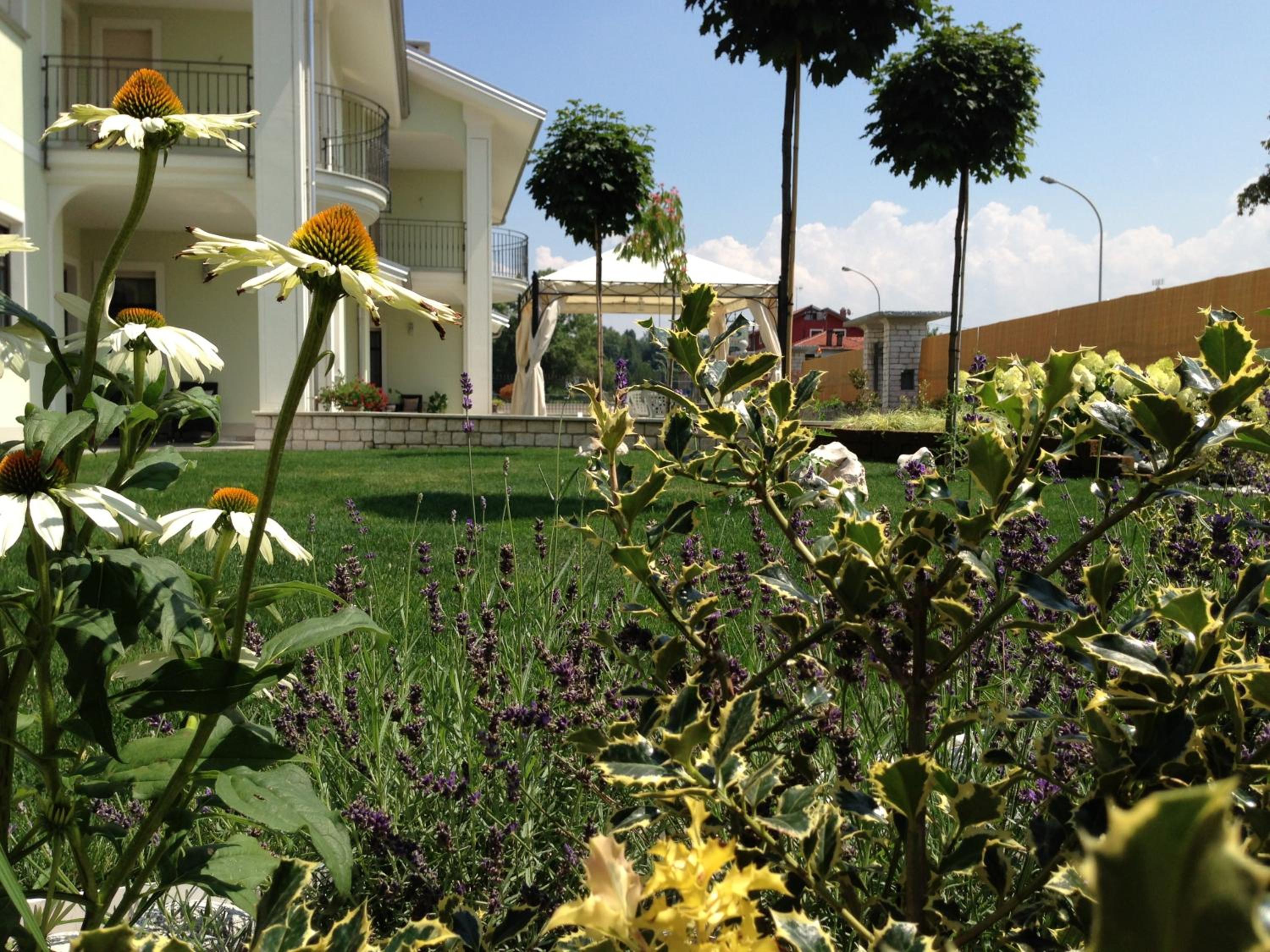 Photo 10