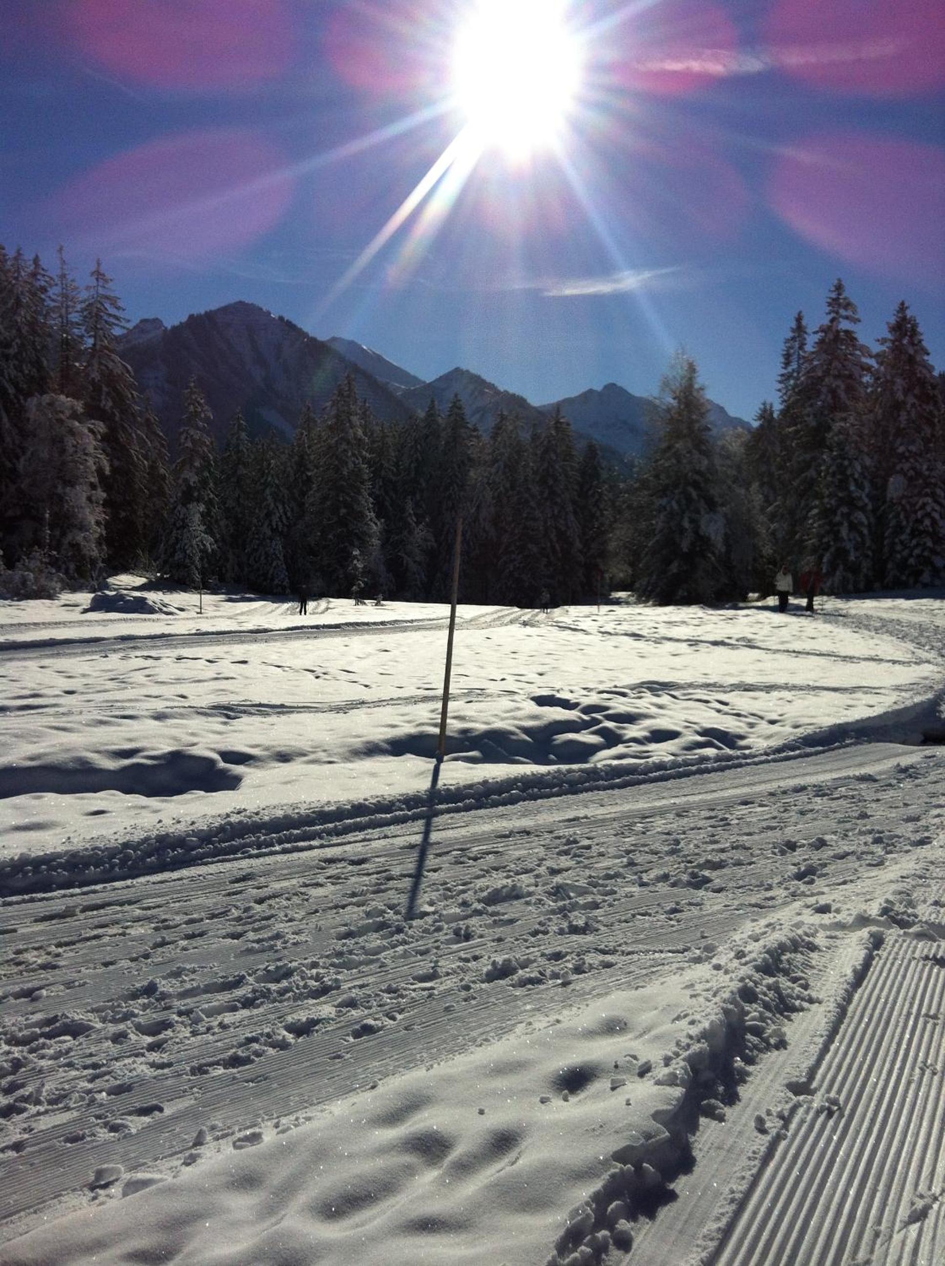 Sonnenstern