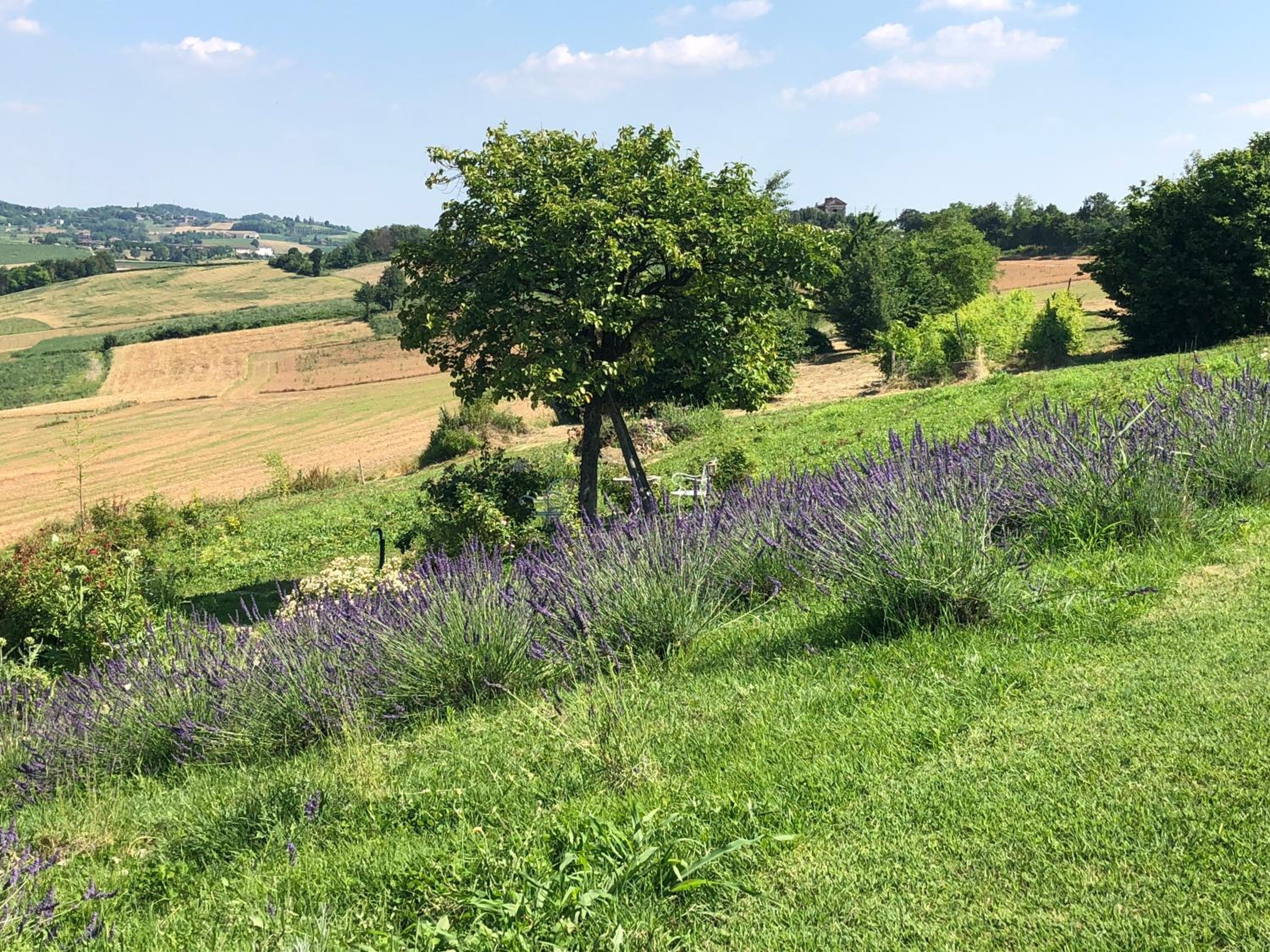 Cascina Vicentini