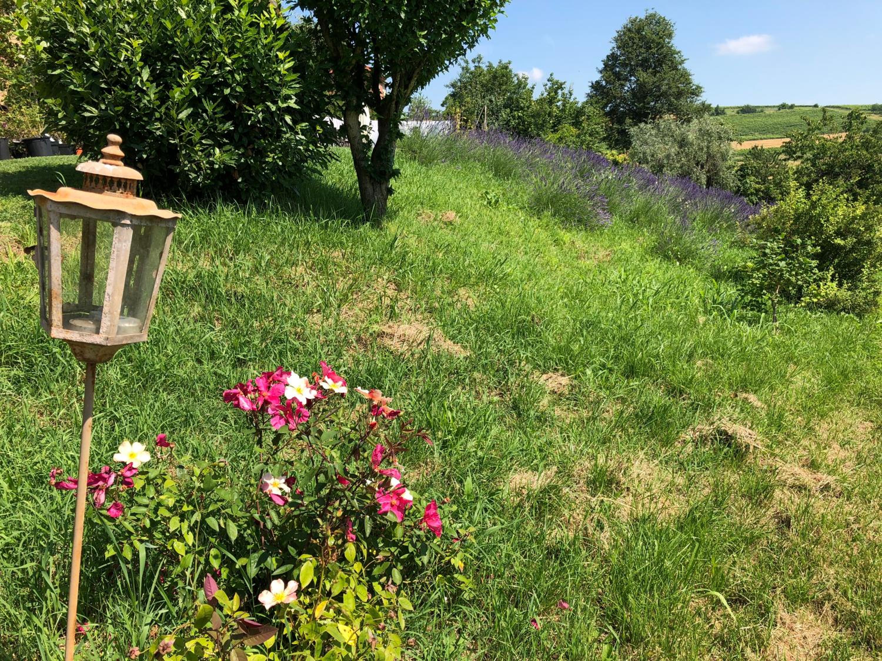 Cascina Vicentini