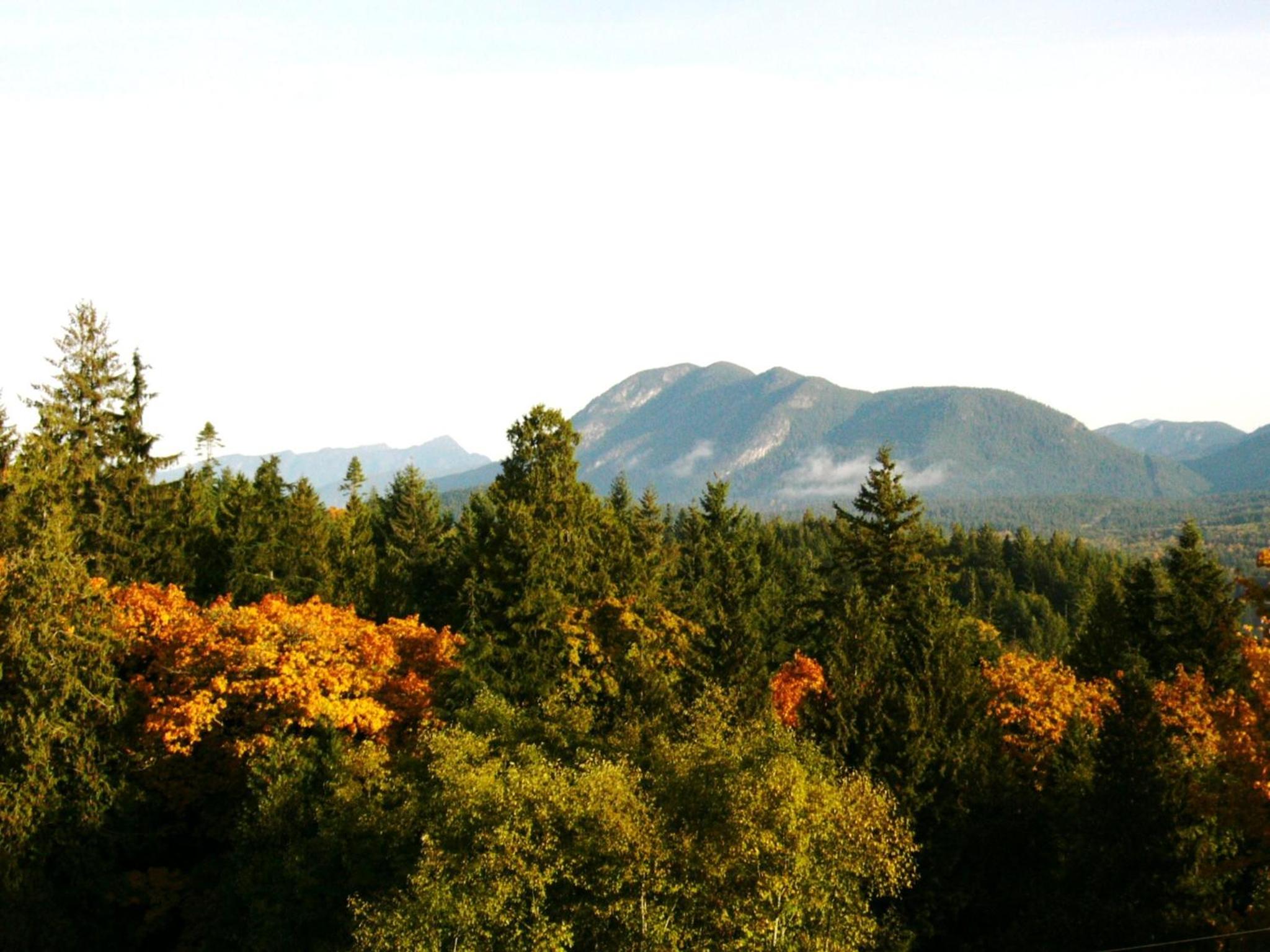 Above the Inlet, photo 26