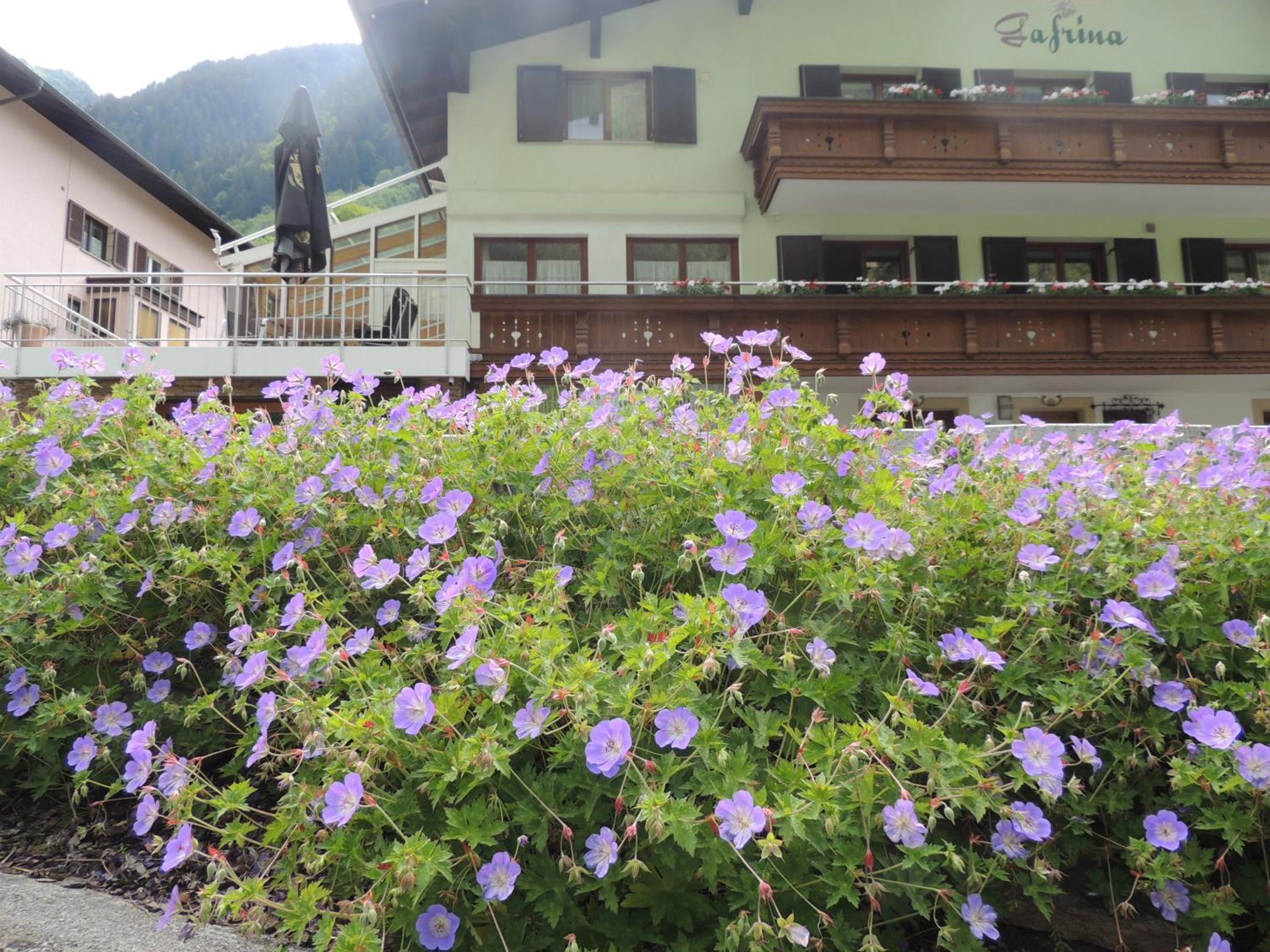 Haus Gafrina