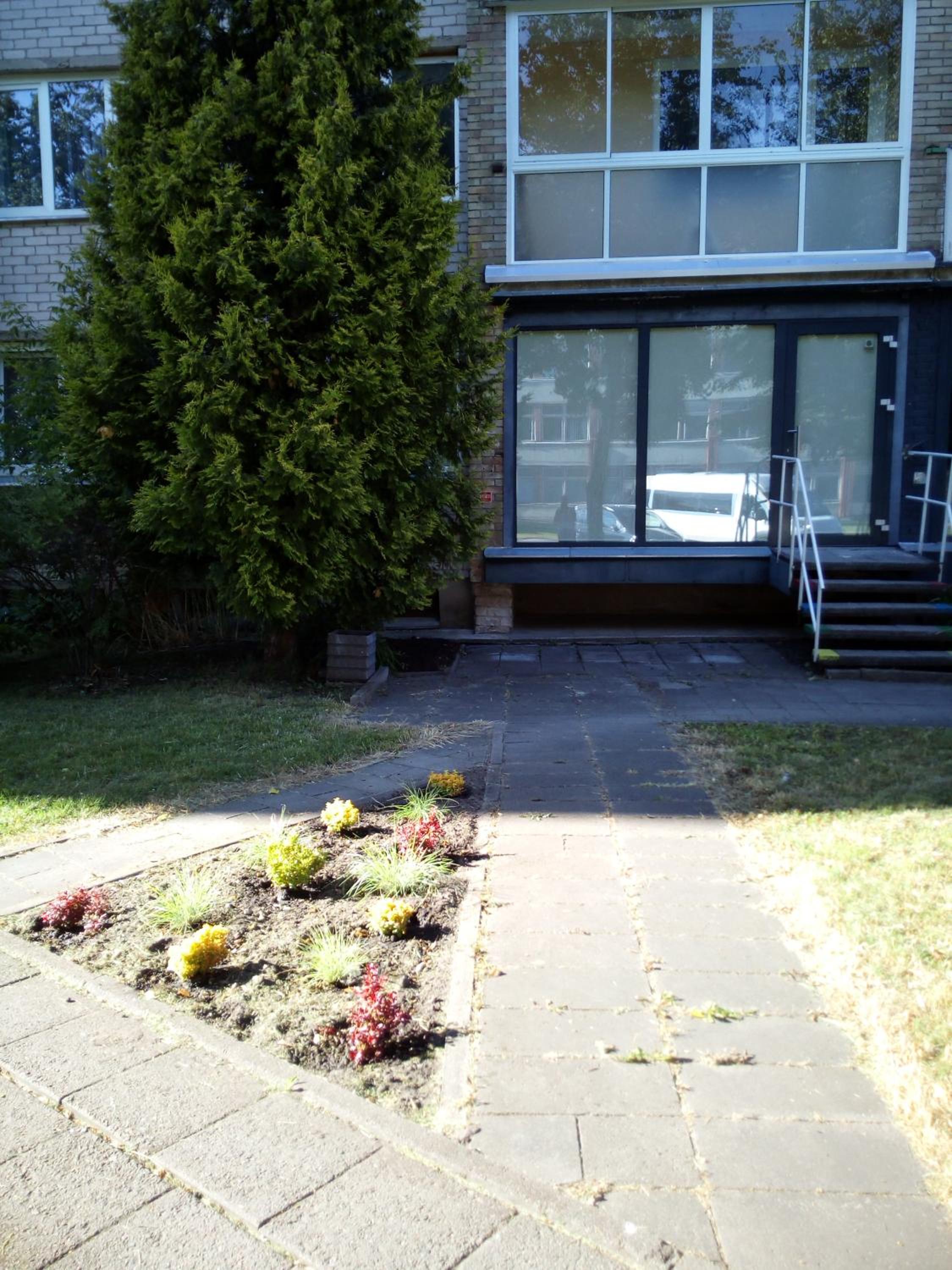 Photo 6