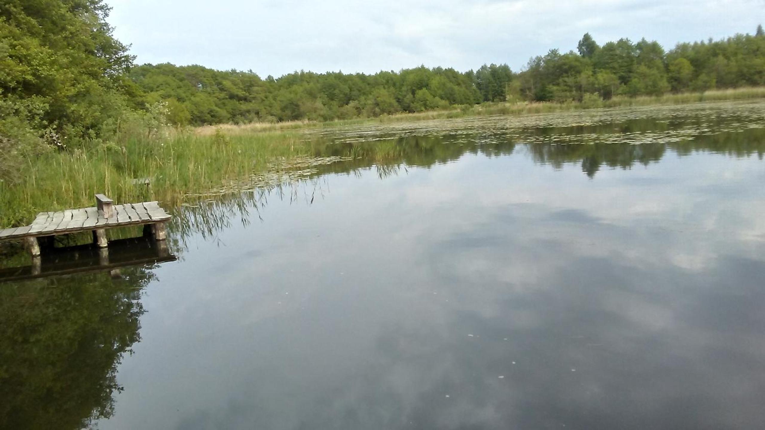 Domki Letniskowe Zygmunt - Property Image 5