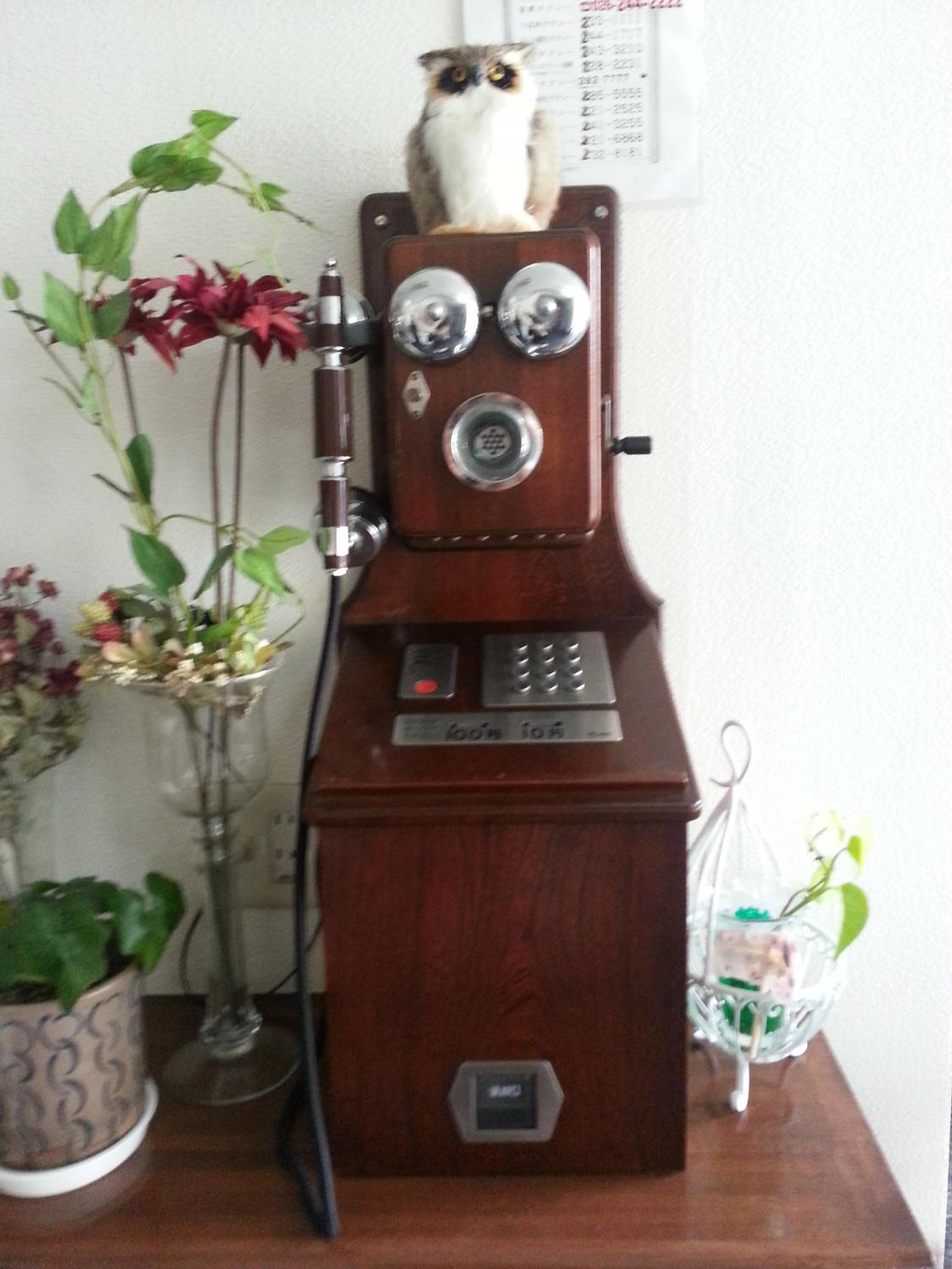 Photo 7