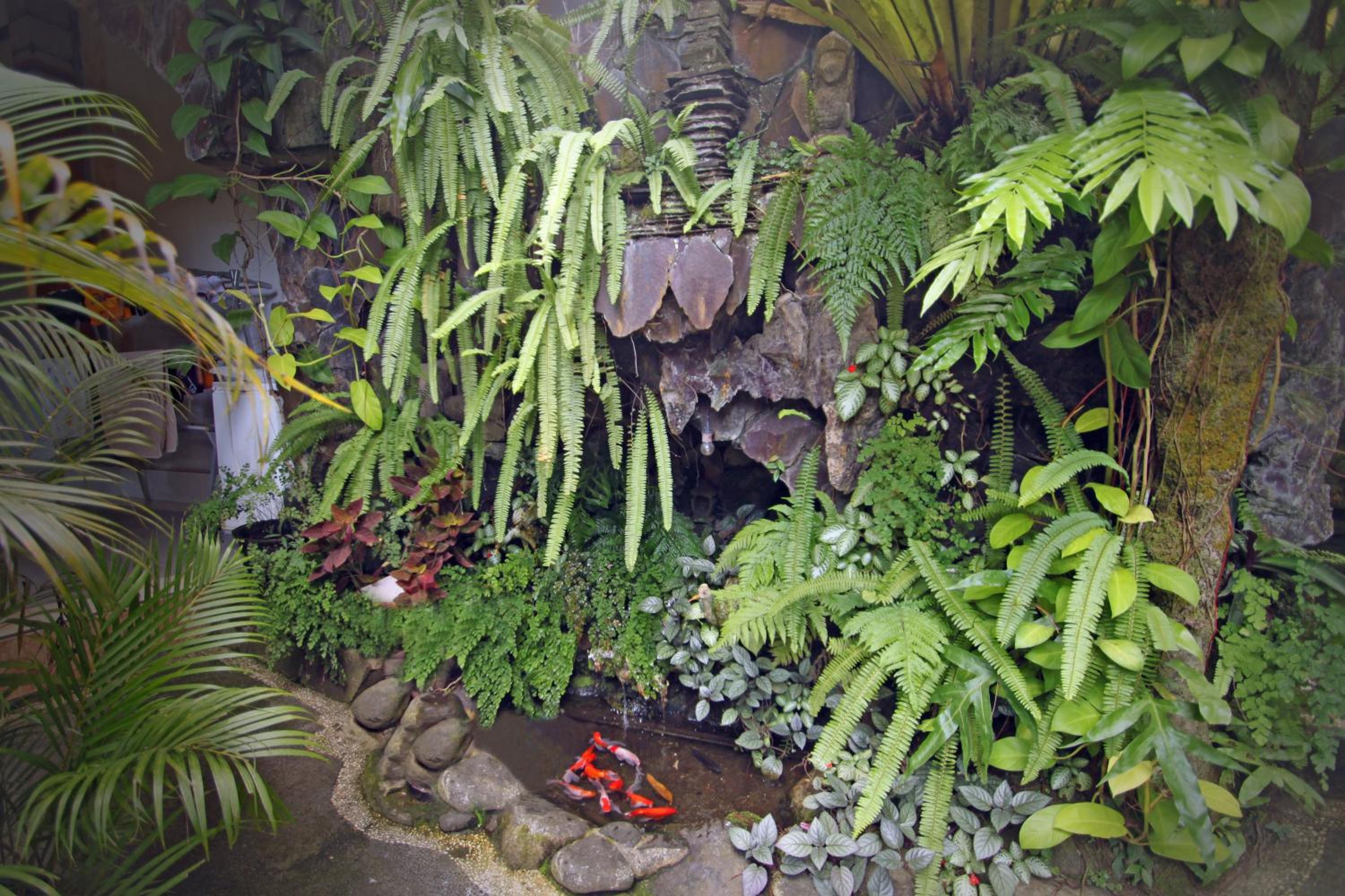 Praety Home Stay
