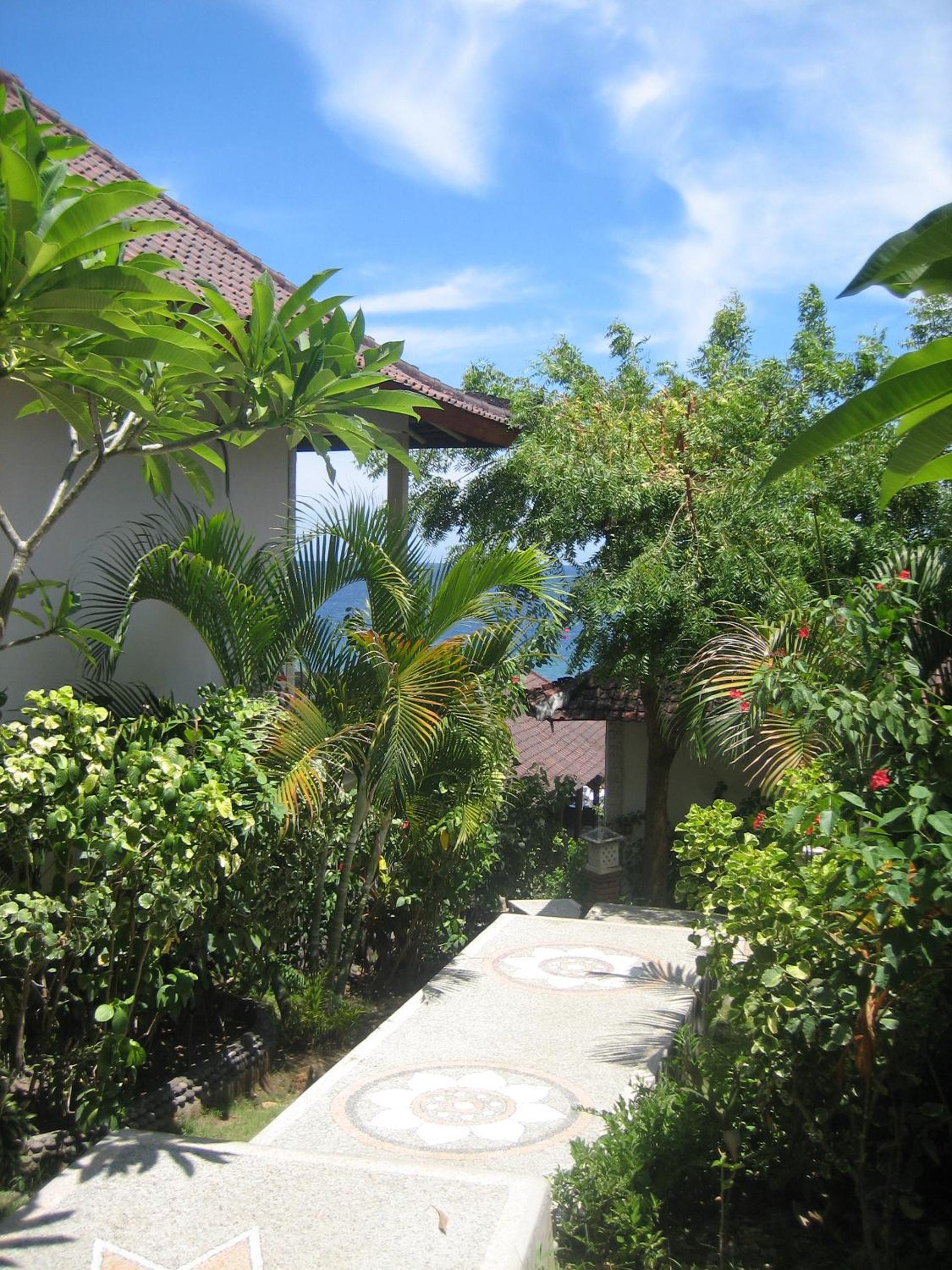 Photo 7