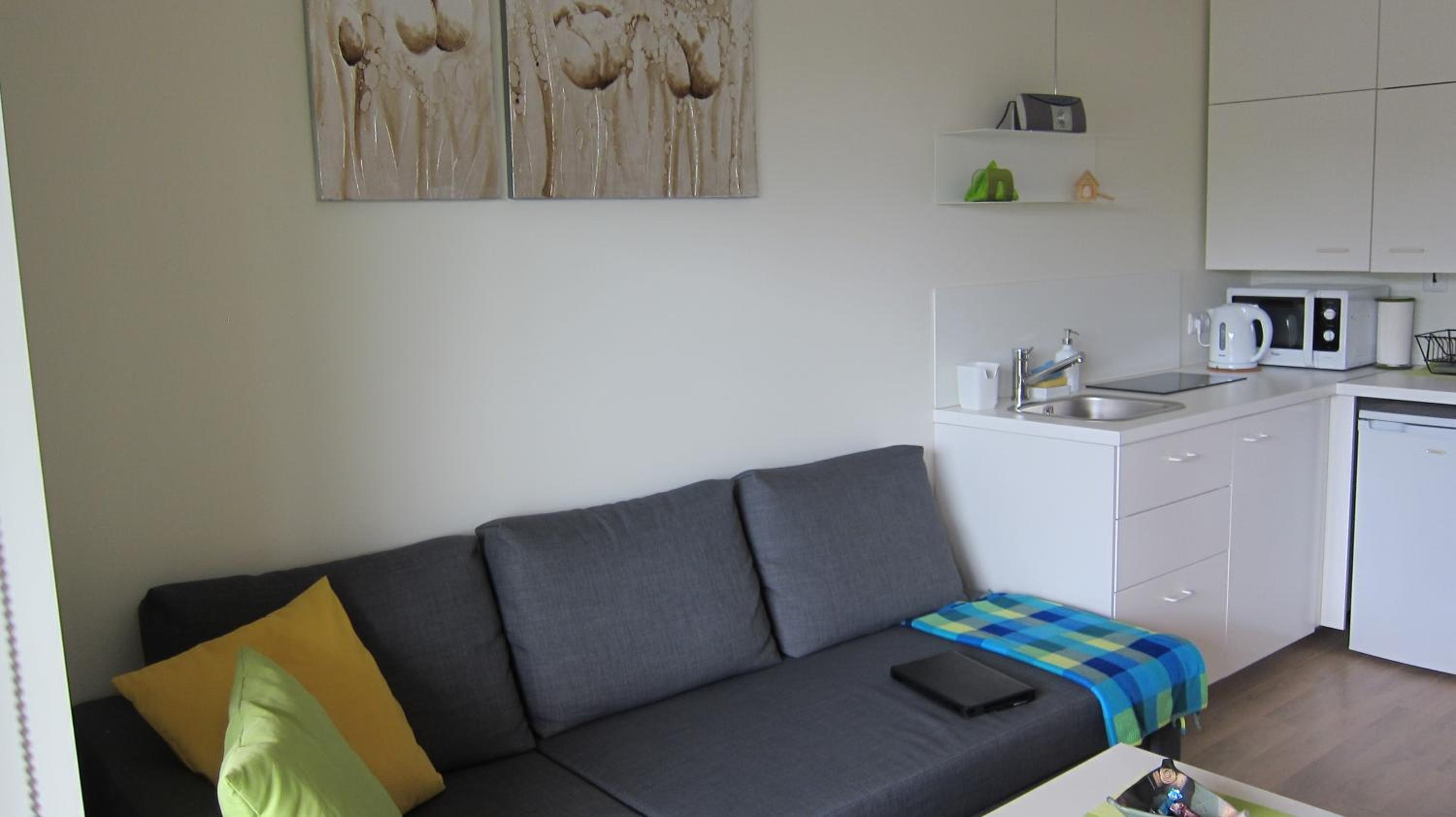 2 kambarių apartamentai view 3