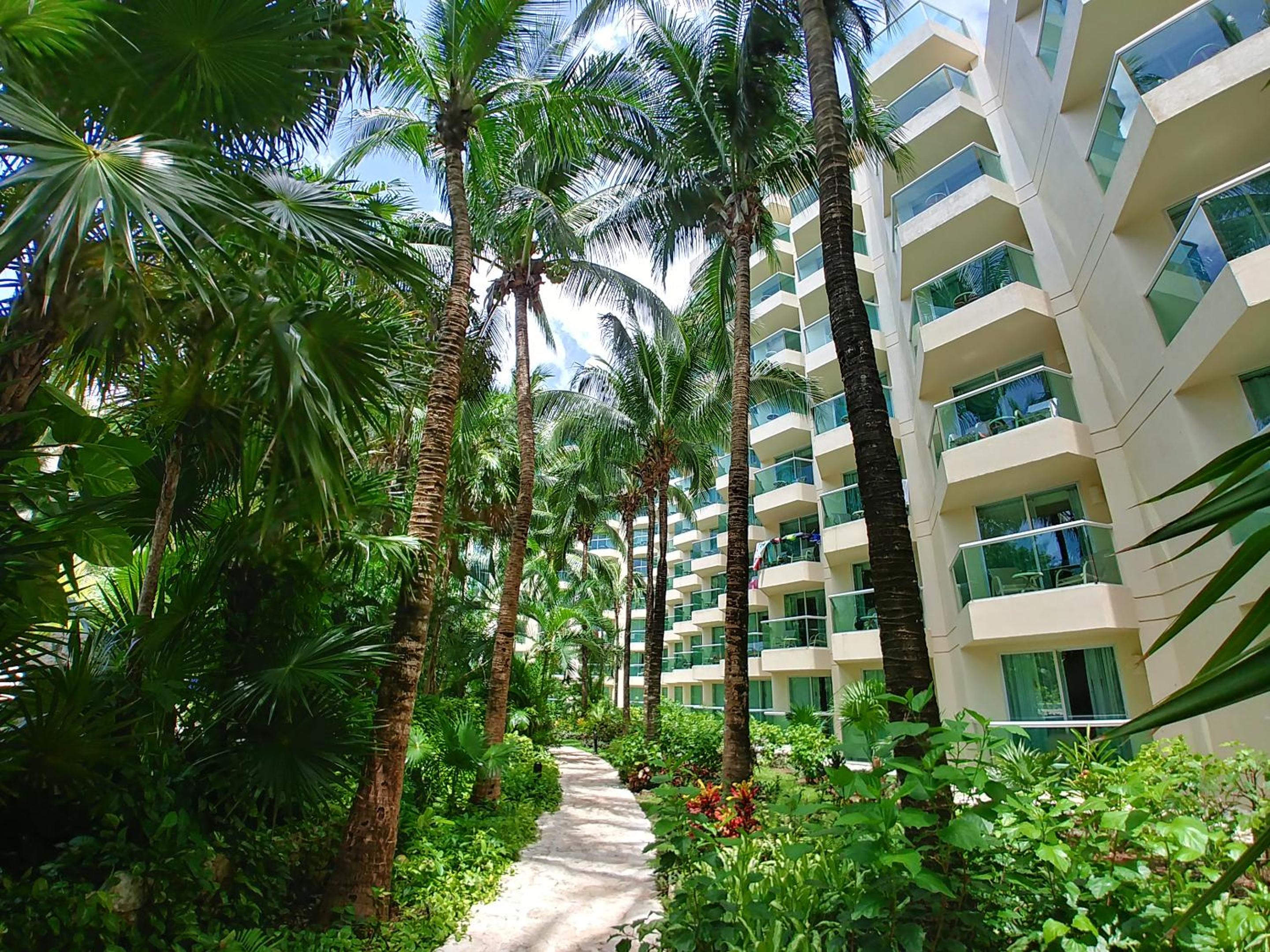 Grand Park Royal Cozumel - All Inclusive - Property Image 142