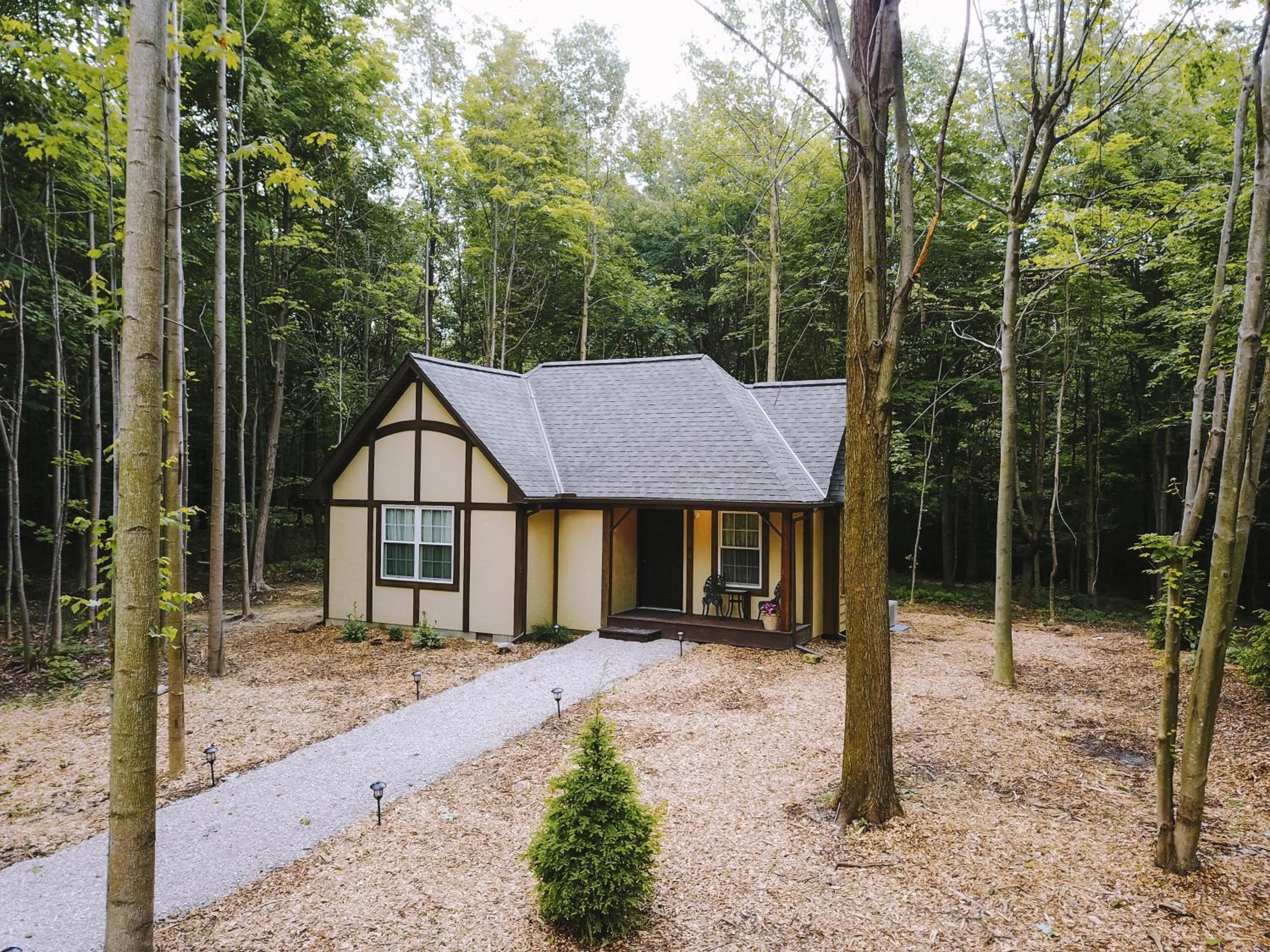 Vineyard Woods view 3
