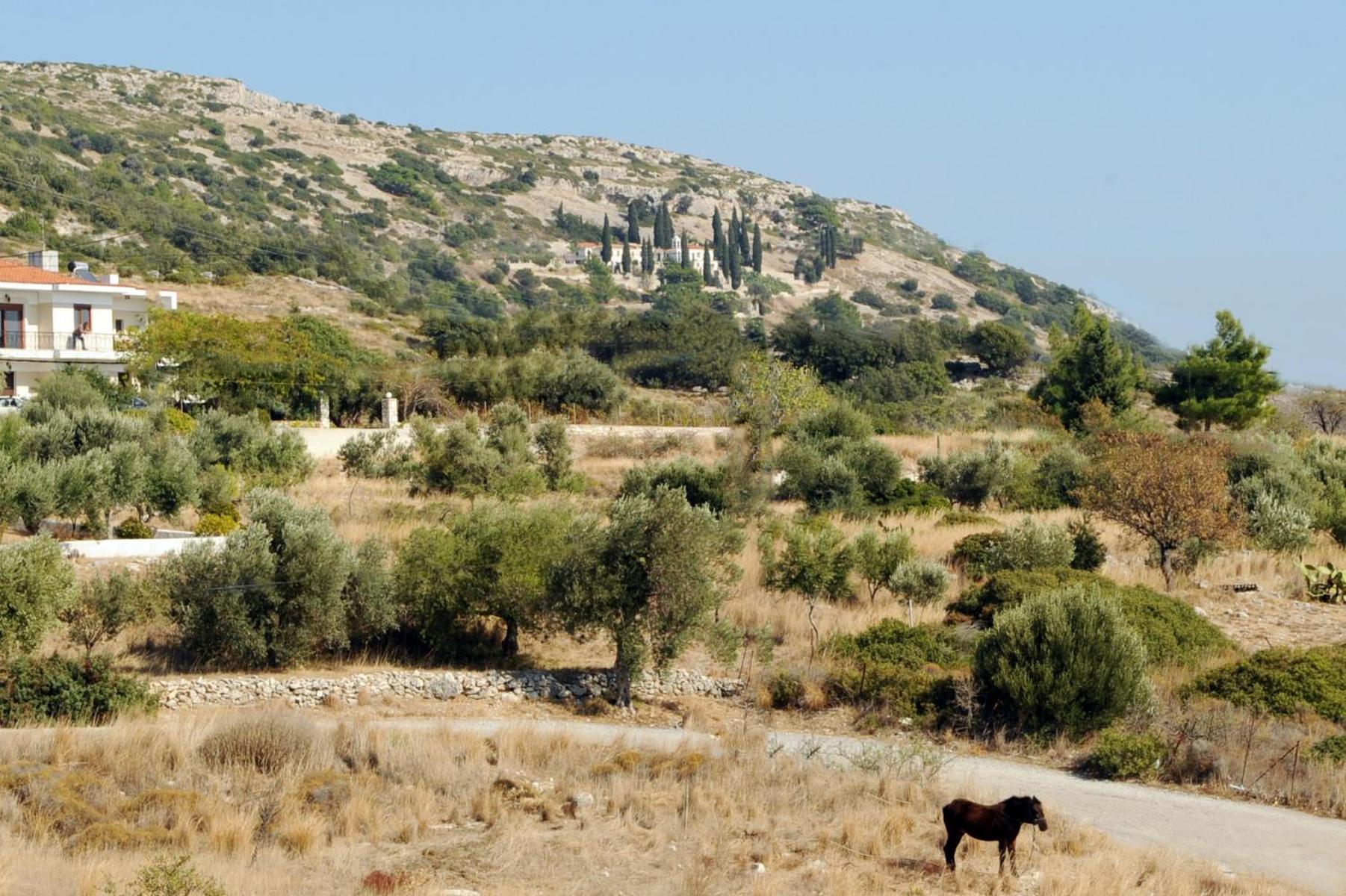 Apollon Resort en Pythagoreio