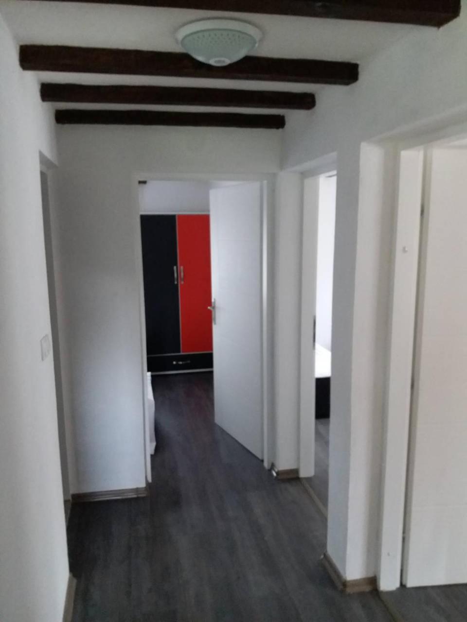 Photo 51