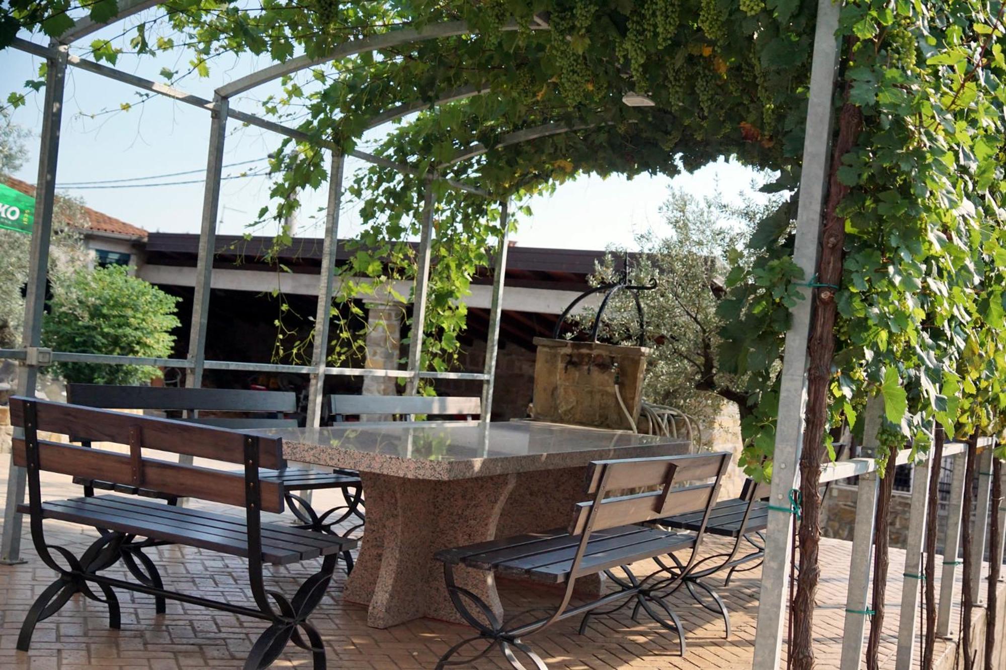 Tourist farm with Apartments Fig tree view 3