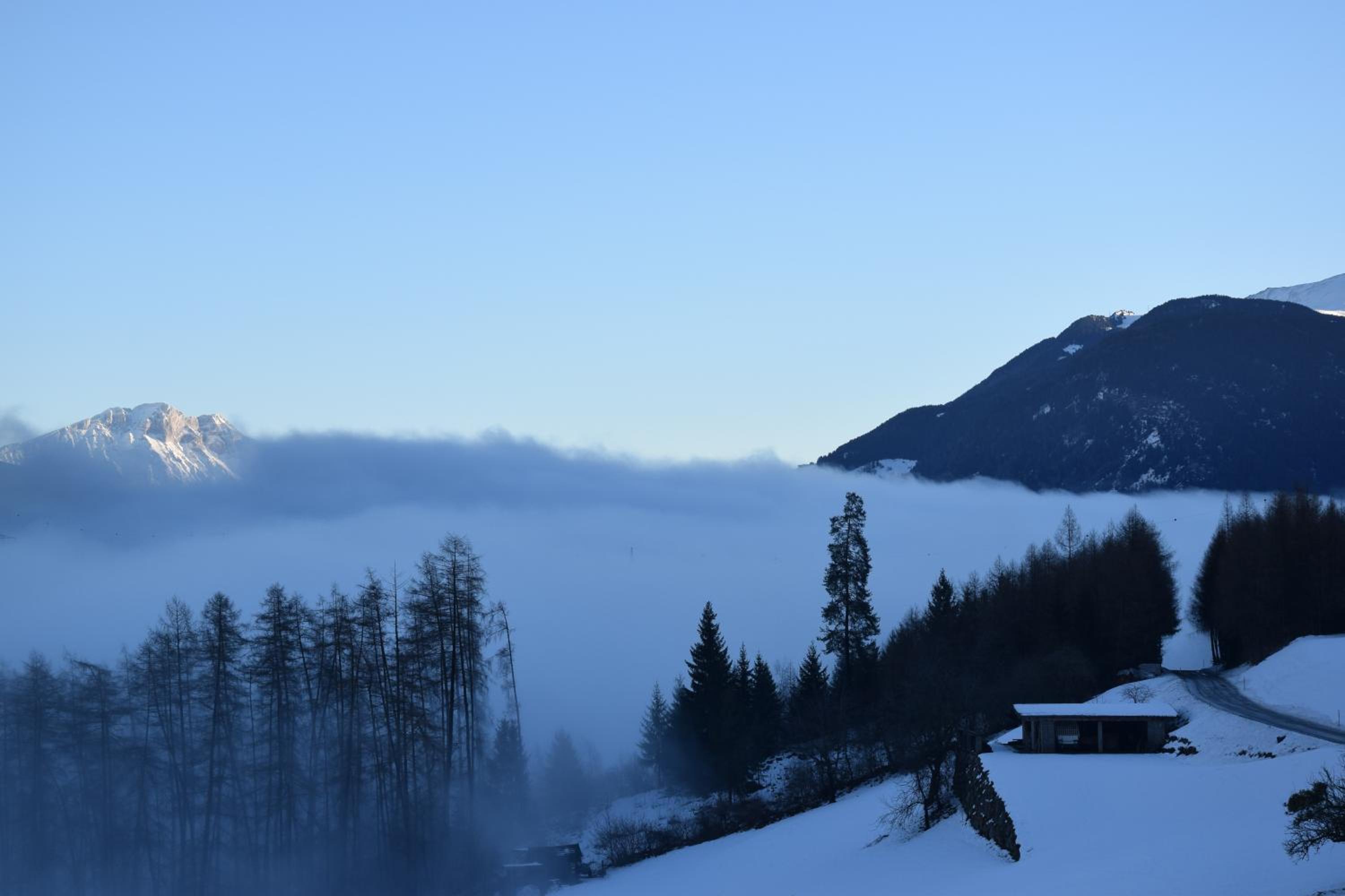 Albeinelerhof